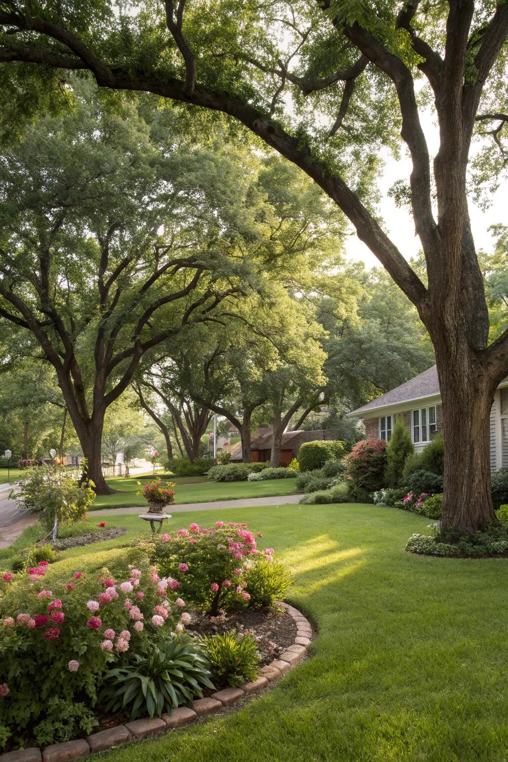 Trees add natural beauty and valuable shade, elevating the yard's appeal.