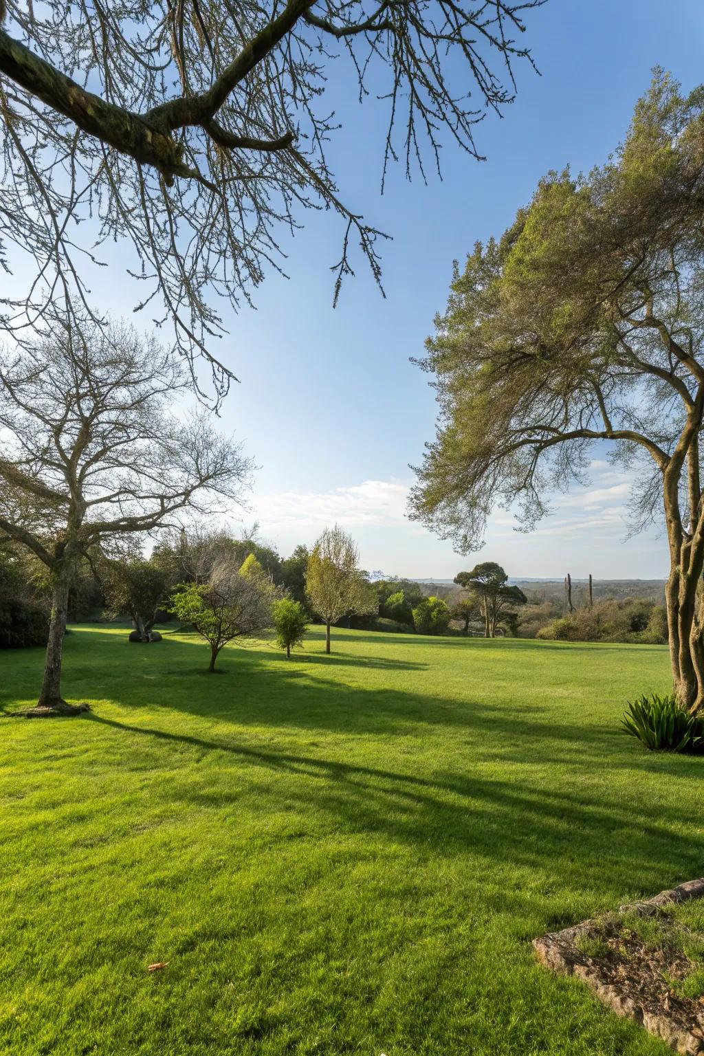 An open lawn offers space for various activities.
