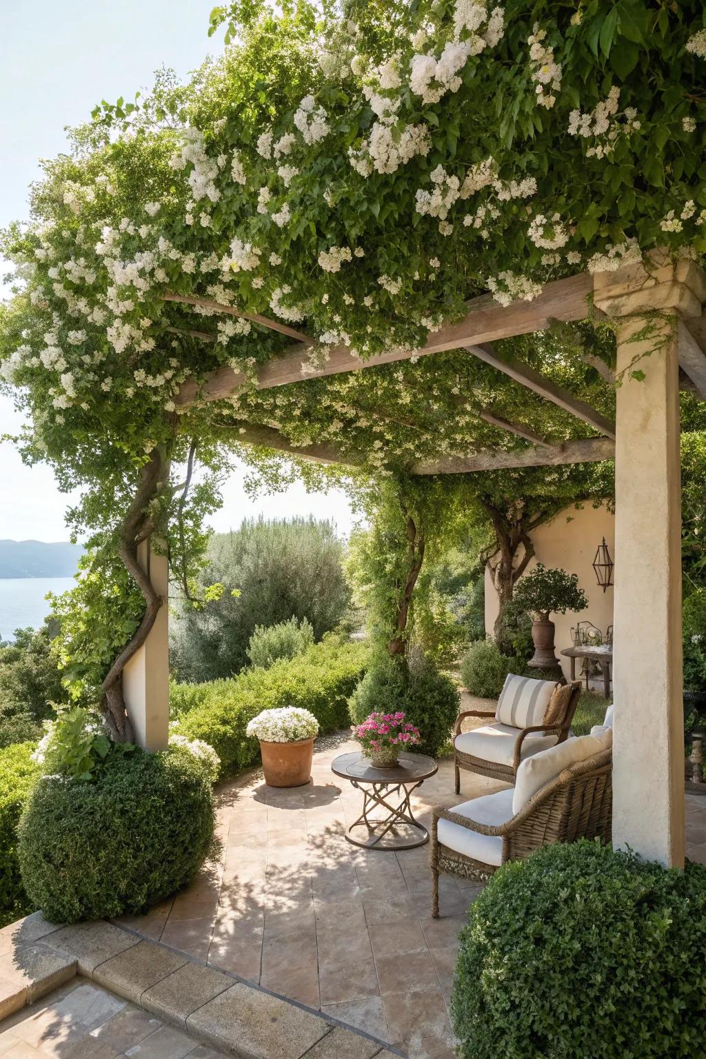 A vine-covered pergola offers a shaded retreat in the garden.