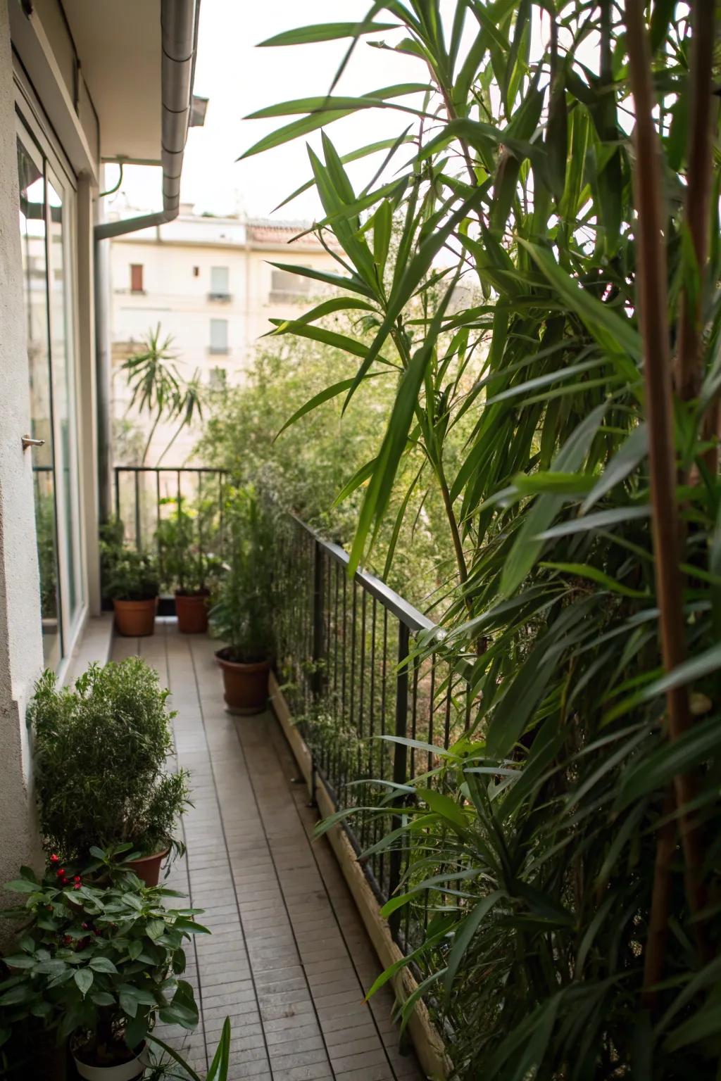 Use tall plants to create a private oasis on your balcony.