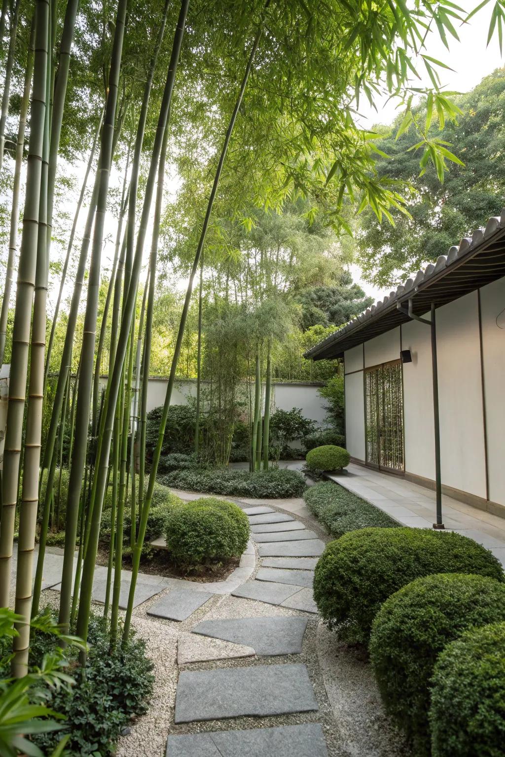 Bamboo screens offer privacy and vertical interest.