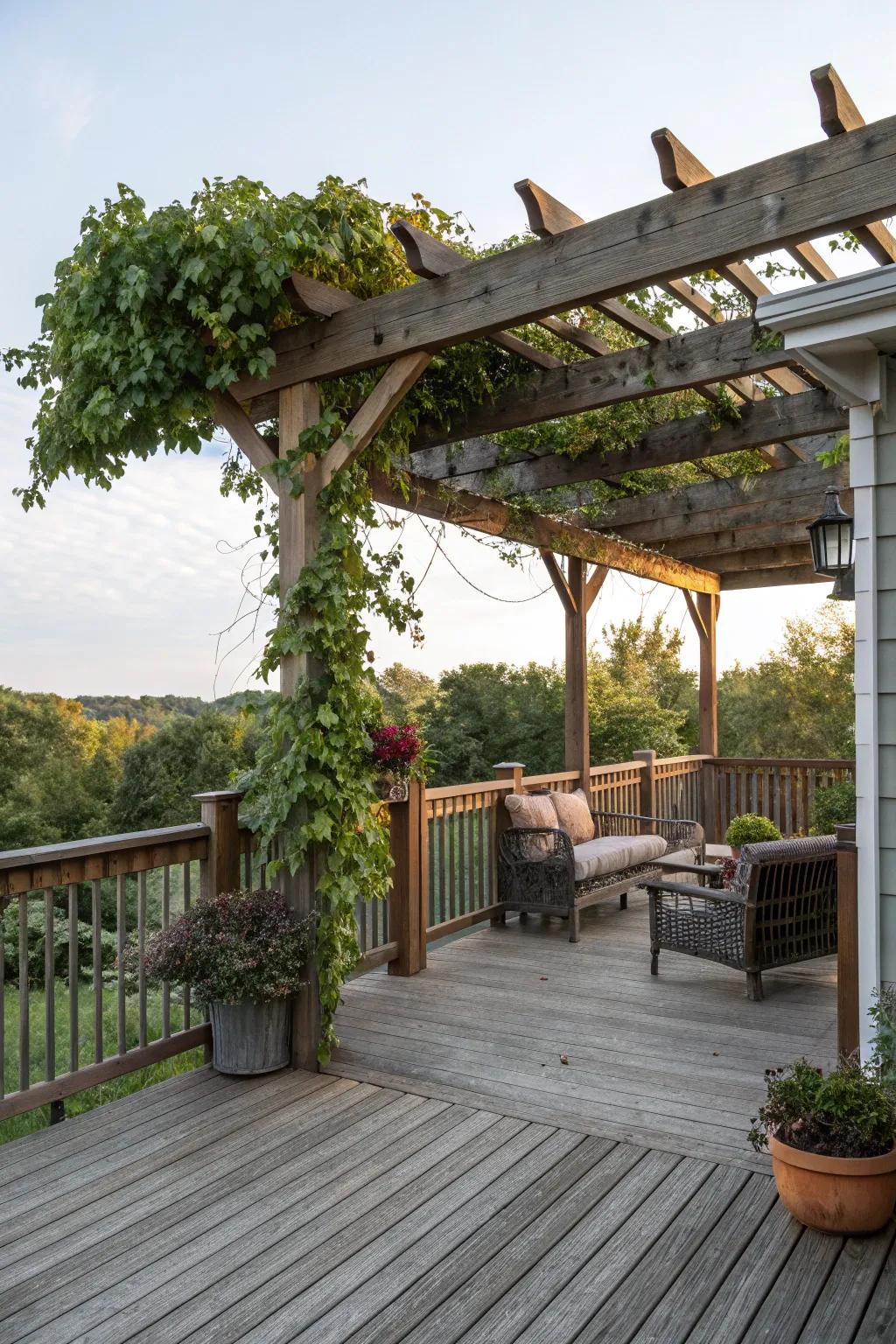Pergolas offer both function and charm to any outdoor space.