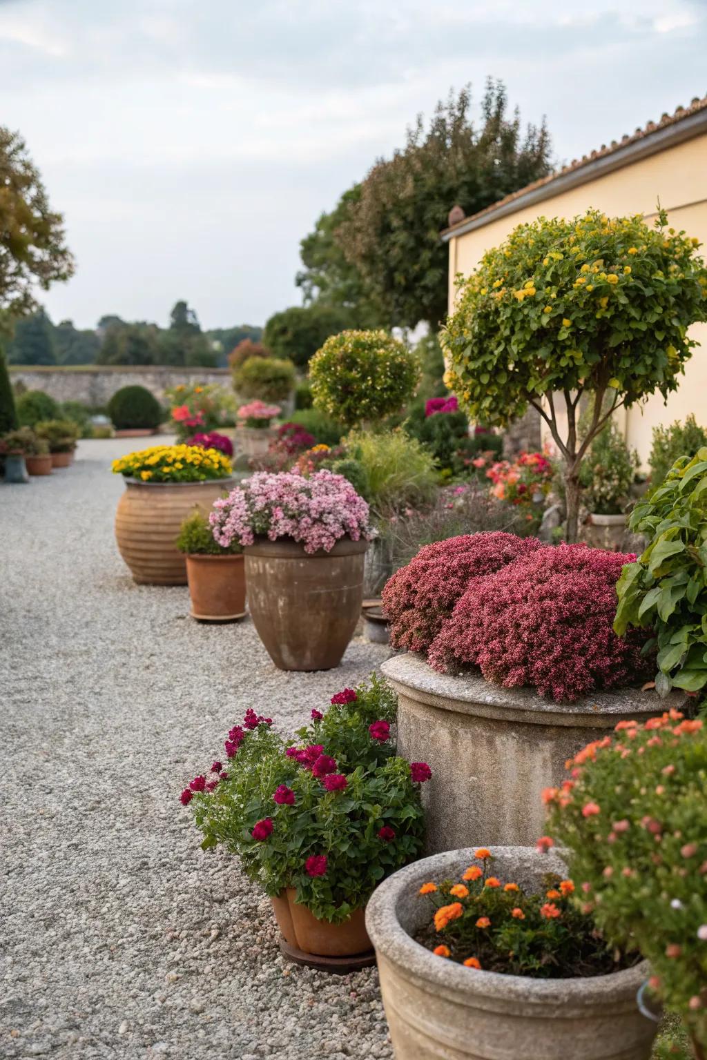 Potted plants add color and versatility to your yard.