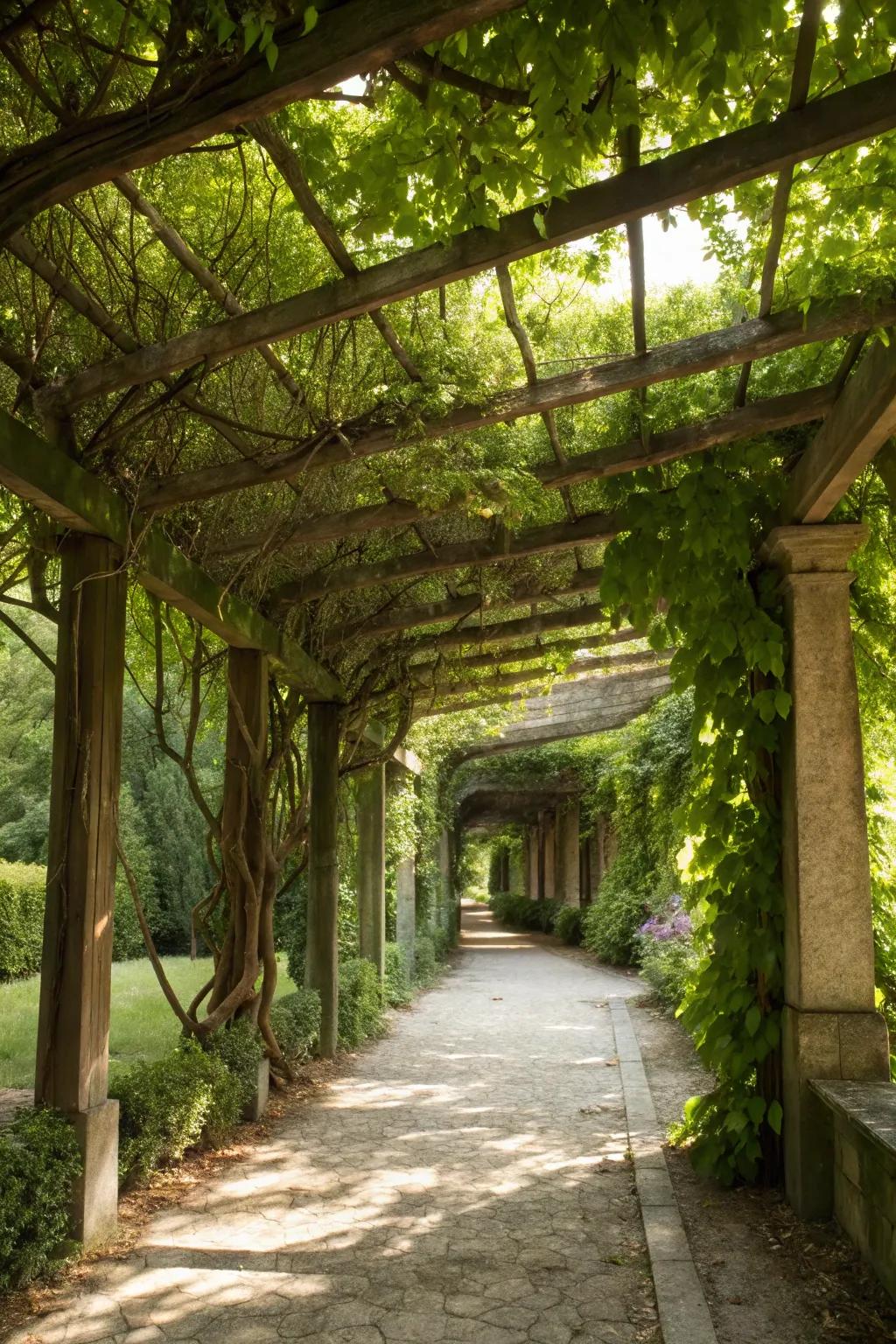 A vine-covered pergola offers a shaded retreat.