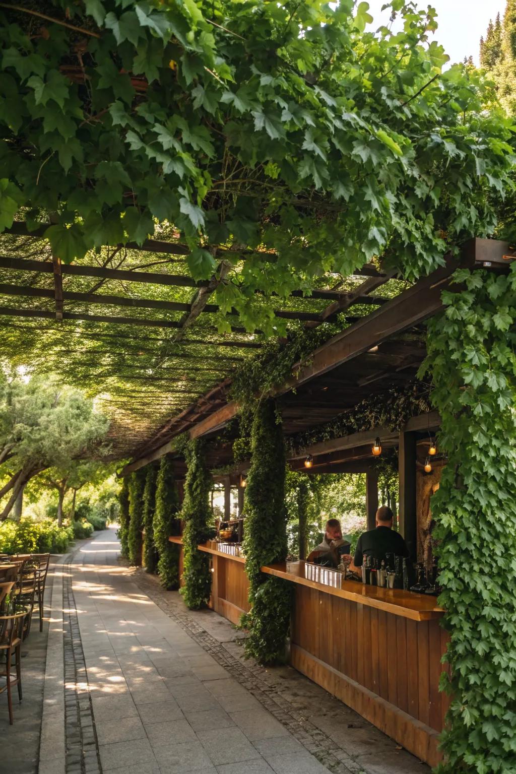 A vine-covered pergola bar that blends structure with beautiful greenery.
