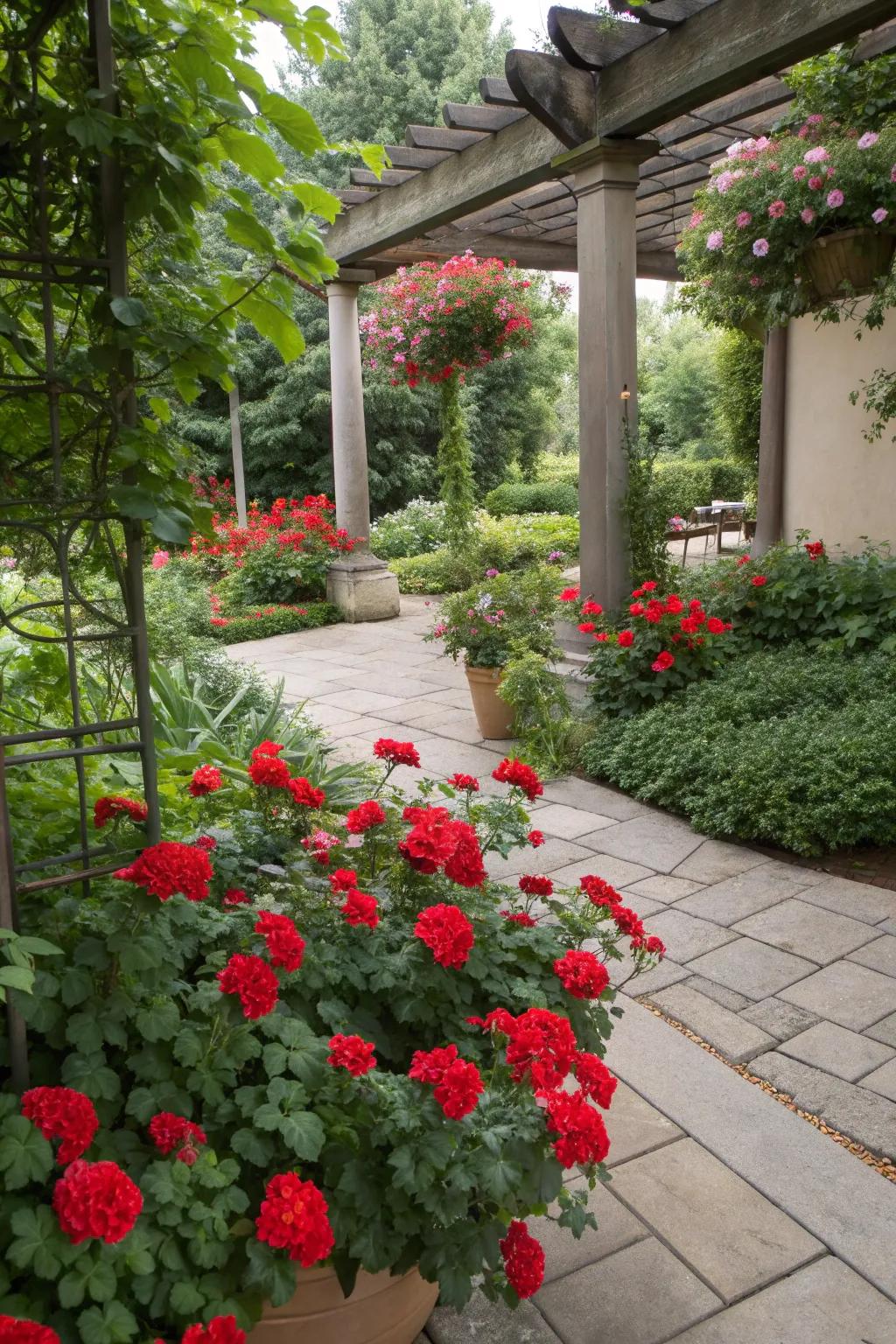 Vibrant red flowers adding natural elegance to the patio garden.