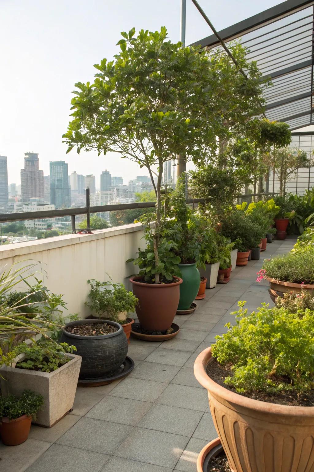 Bring life and shade to your rooftop with lush potted greenery.