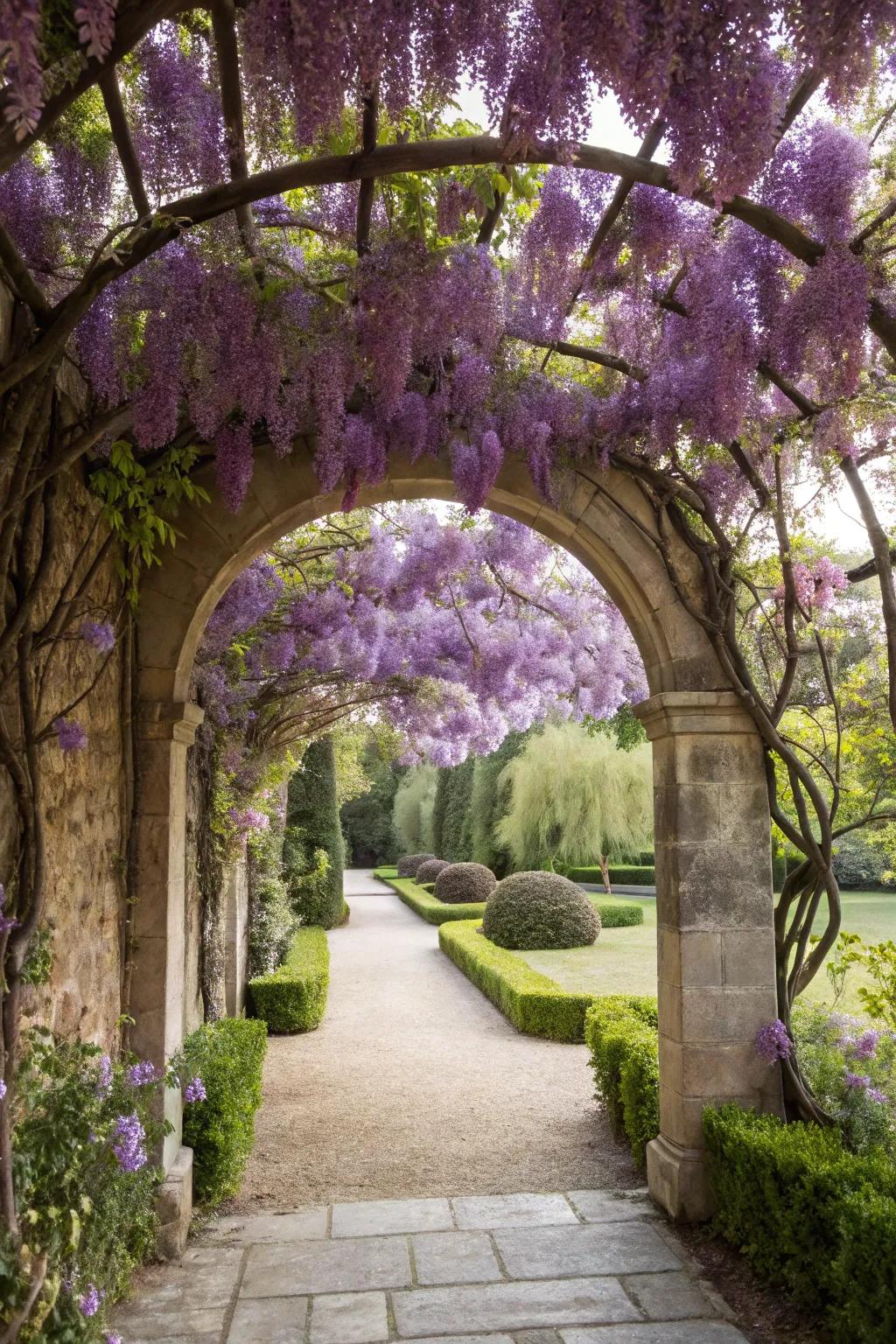 A living green tunnel adds enchantment to any garden.