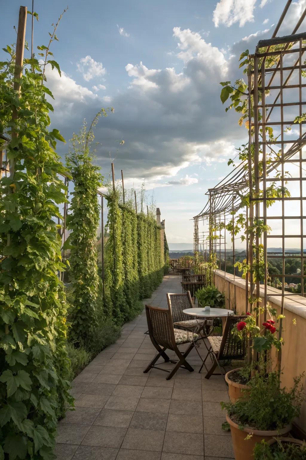Create privacy with greenery.