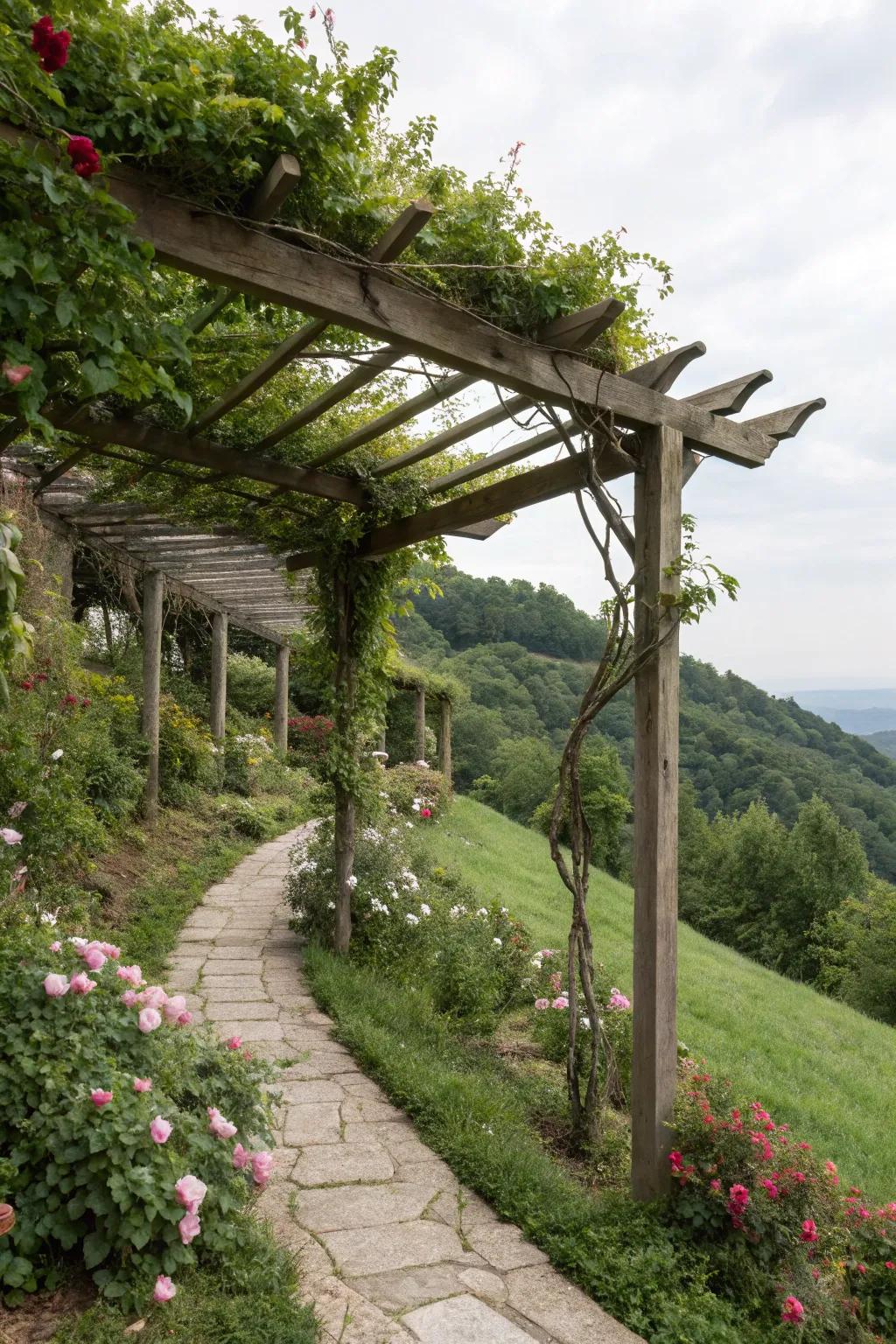 Wooden structures add elegance and depth to sloped gardens.