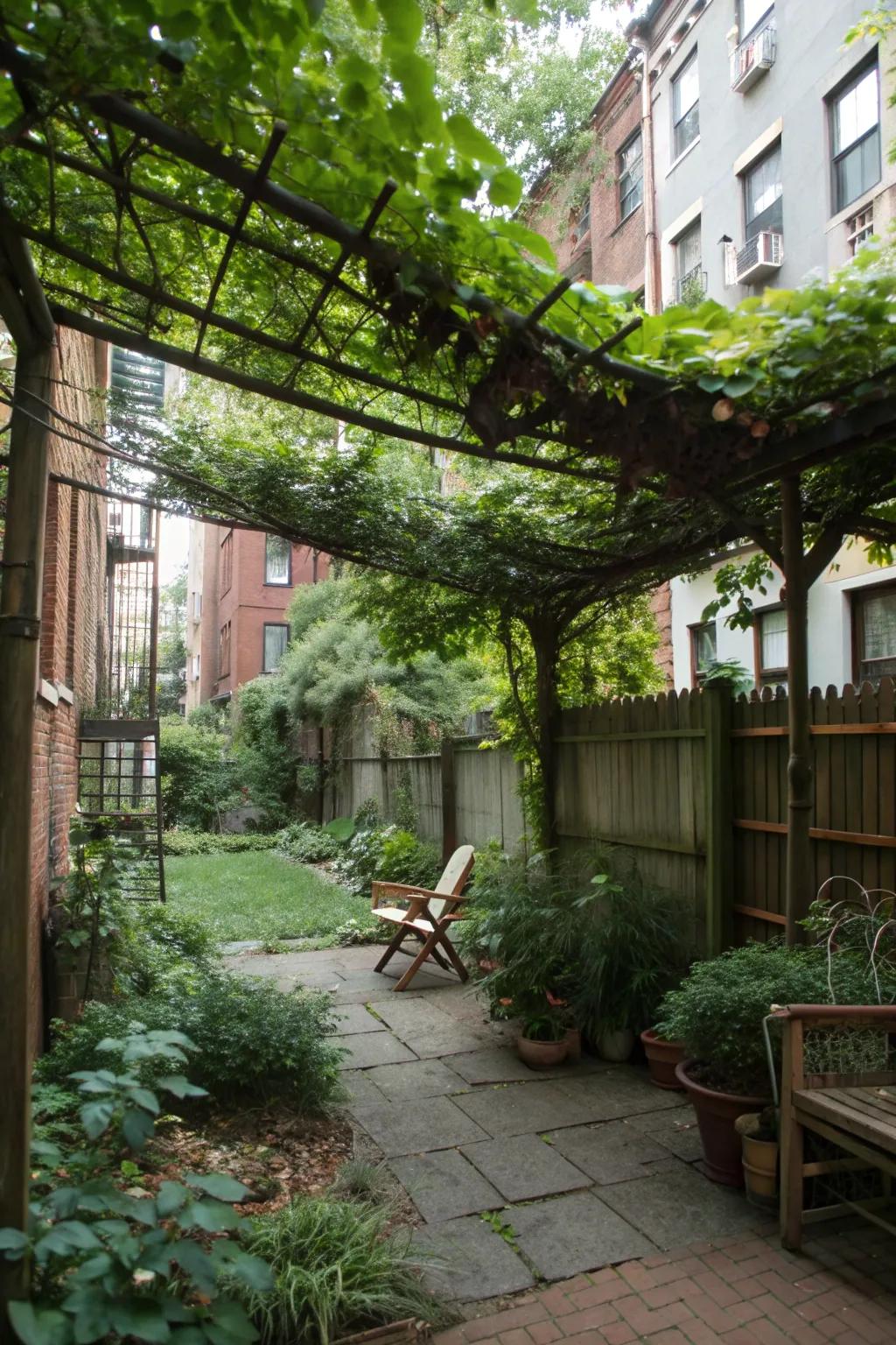 A green ceiling enhances privacy and adds a lush feel to small backyards.