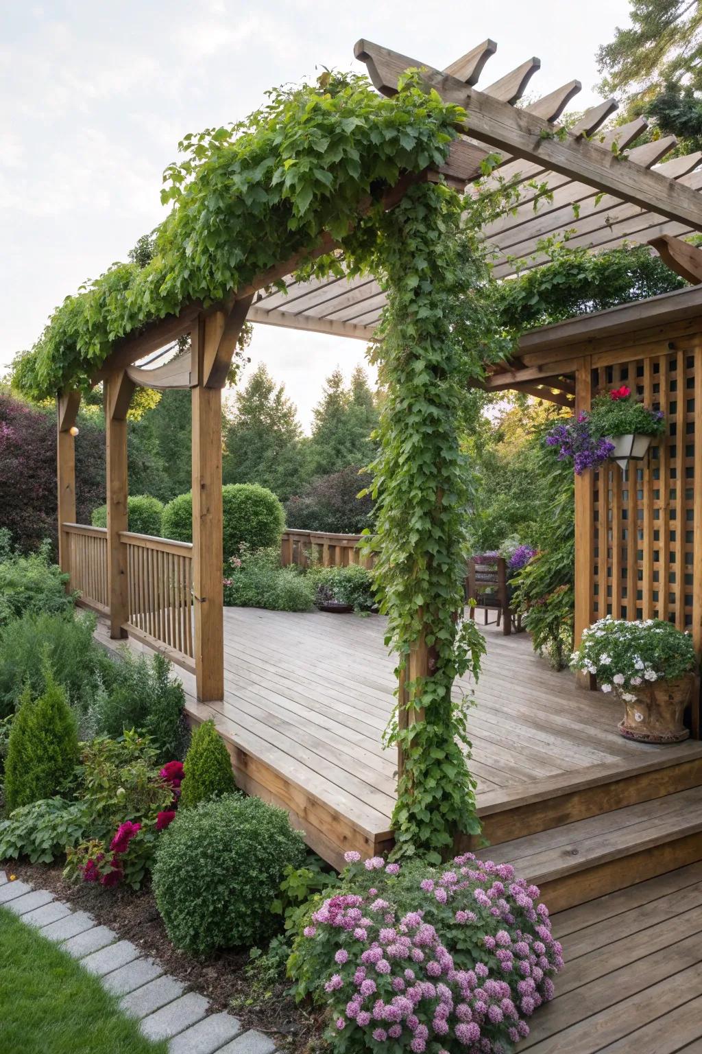 A pergola offers shade and supports climbing plants.