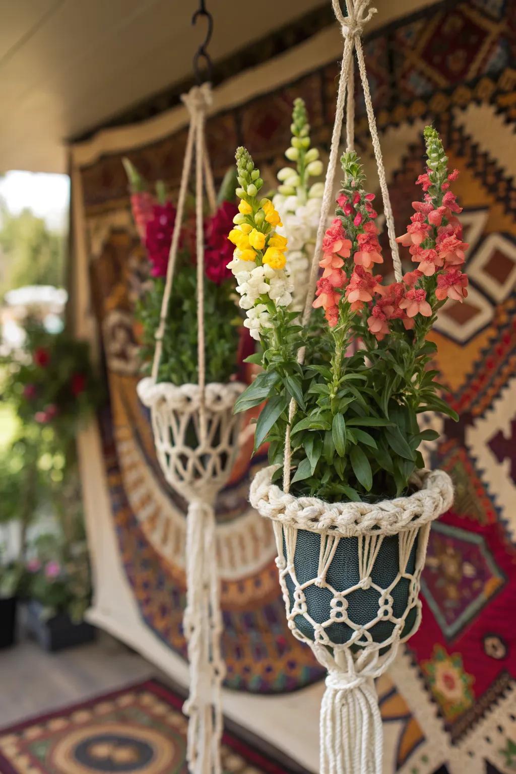 Bohemian-inspired macramé holders cradling snapdragons, perfect for a relaxed garden vibe.