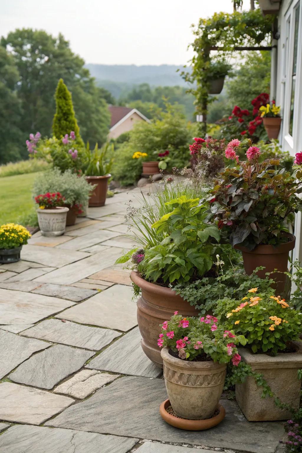 Potted plants bringing color and life to a stone patio.