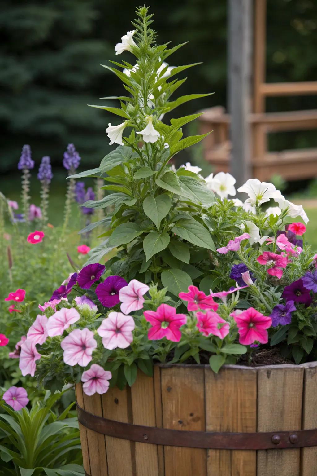 Petunias adding a vibrant burst of color and volume.