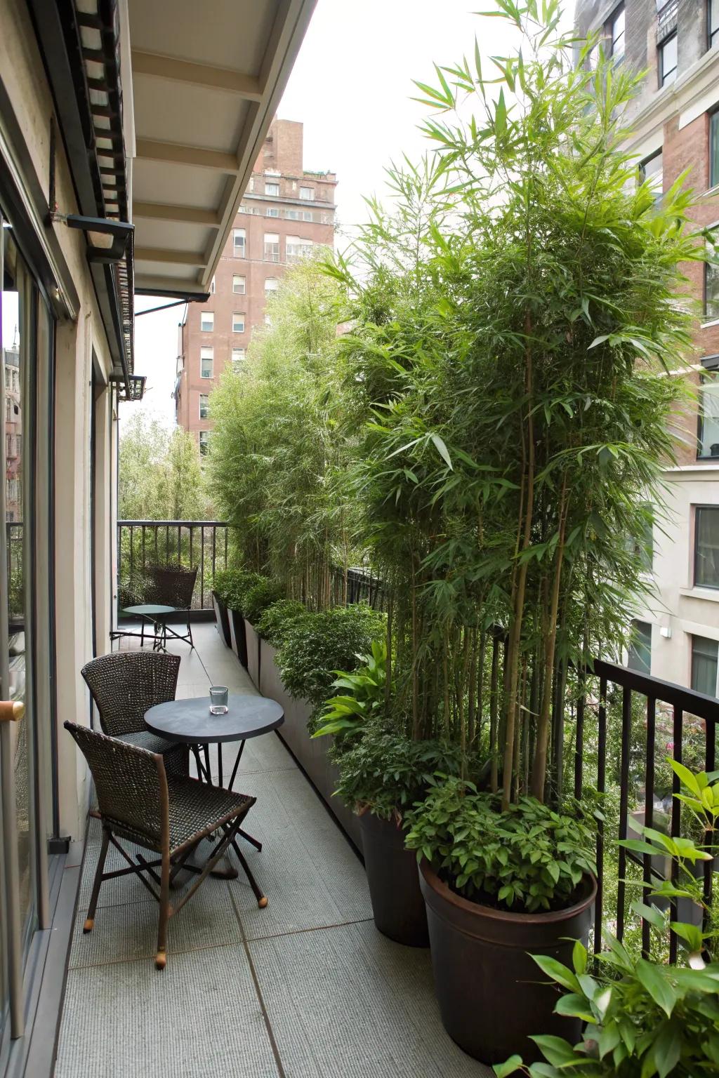 Natural privacy with tall plants.