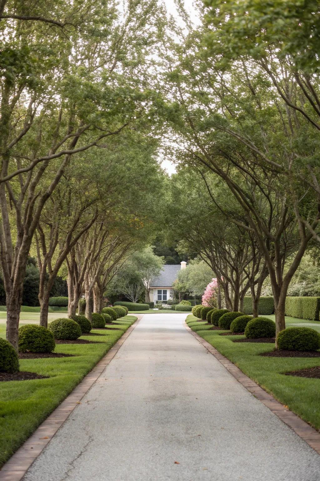 Symmetrical planting guides the eye and creates harmony.