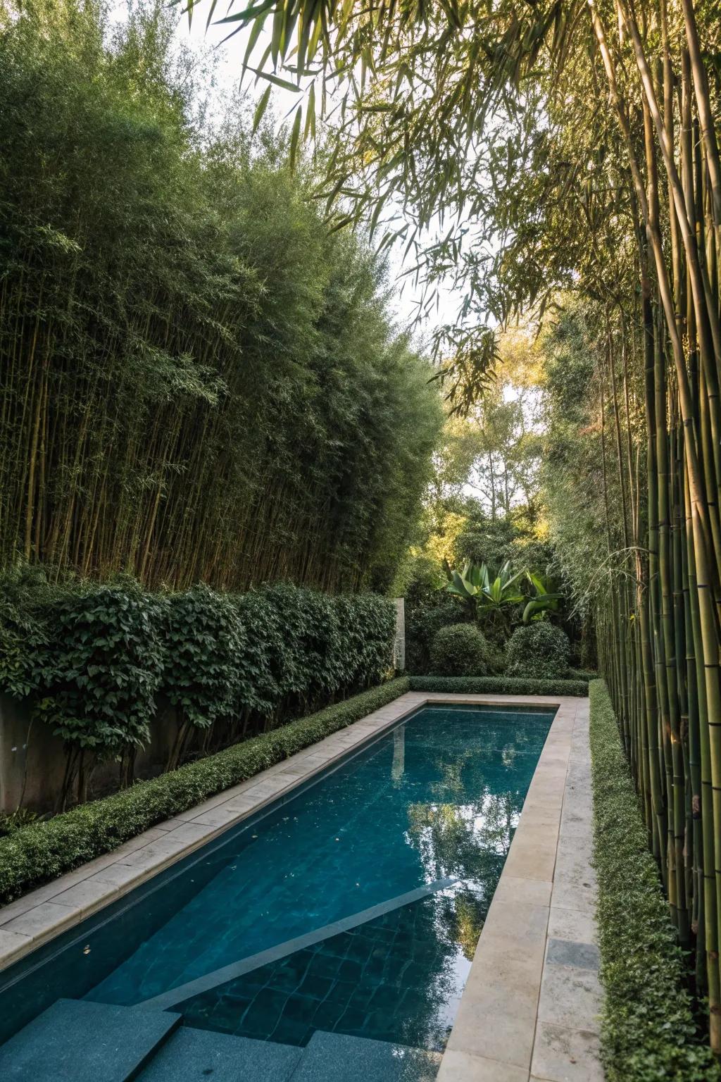 Dense bamboo and hedges create a private, secluded pool area.