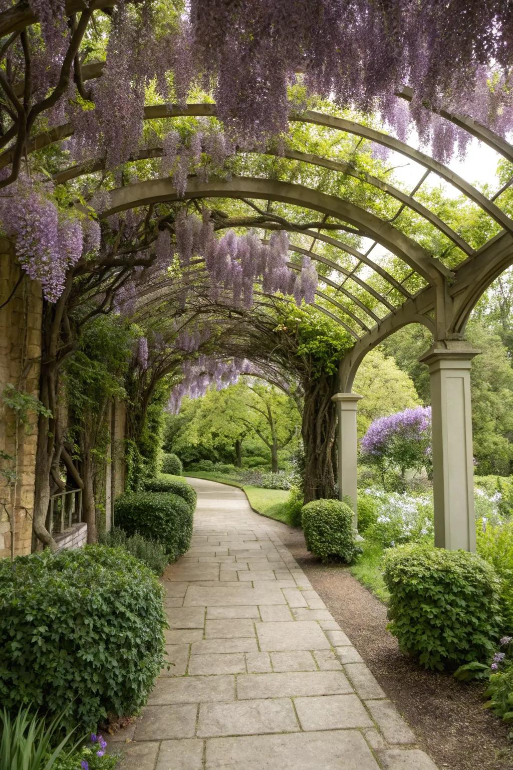 An inviting garden entrance framed by a wisteria-clad pergola.