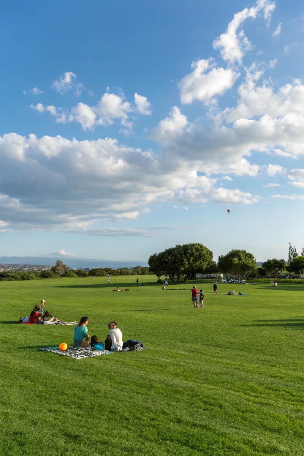 Expansive lawns offer endless possibilities for enjoyment.