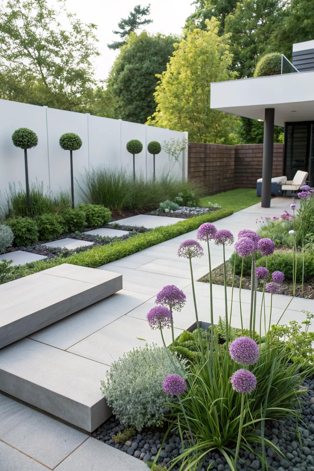 Modern garden design with alliums and minimalist features