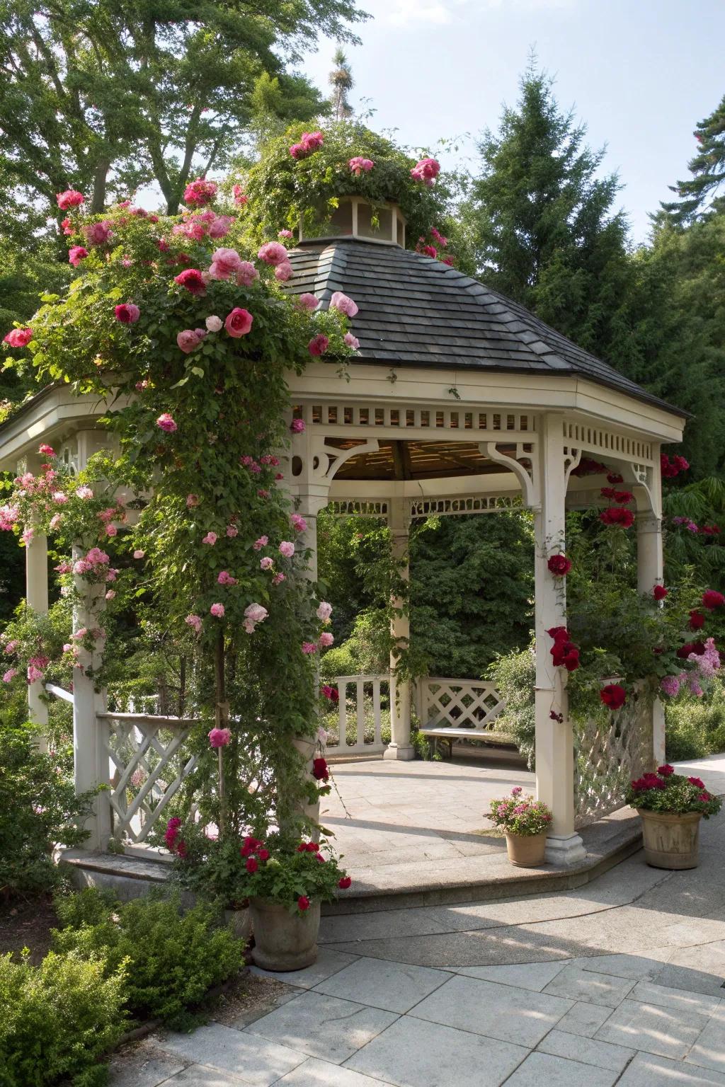 Climbing roses lend a romantic flair to your outdoor space.