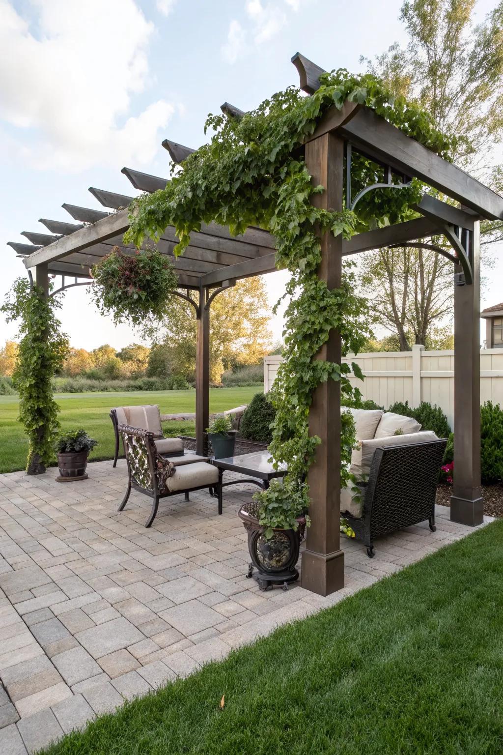 A pergola provides shade and architectural beauty.