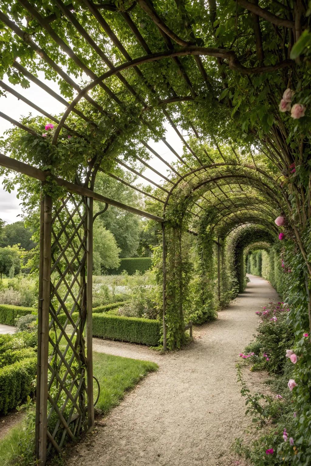 Trellises with climbers elegantly enhance privacy.