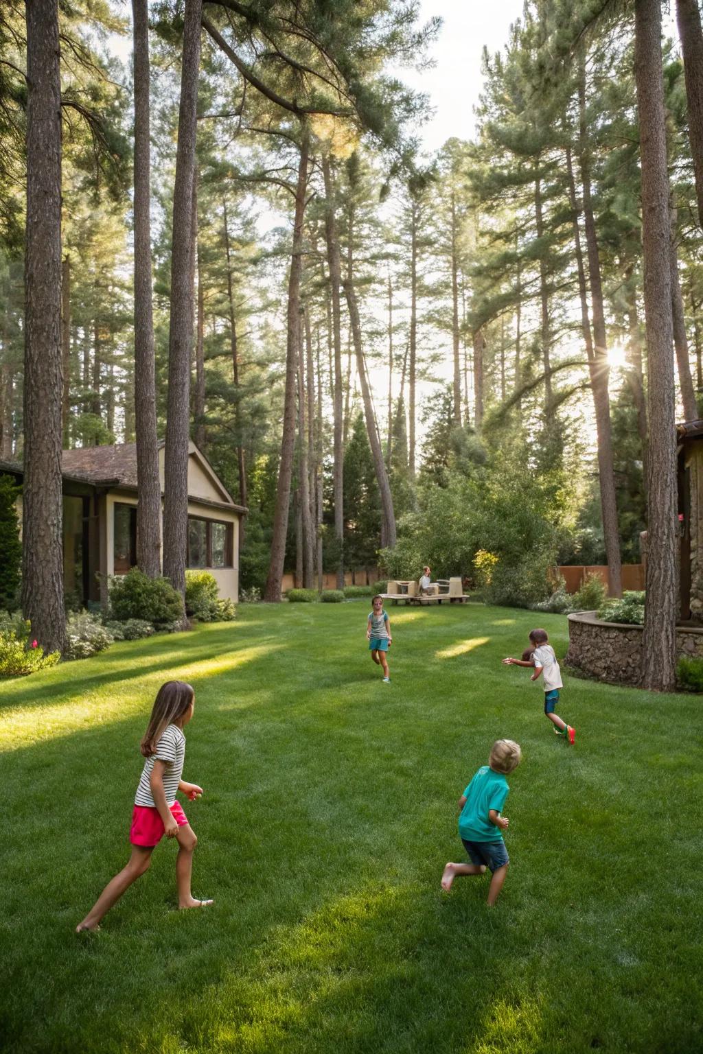 Open spaces offer versatility for games and relaxation.