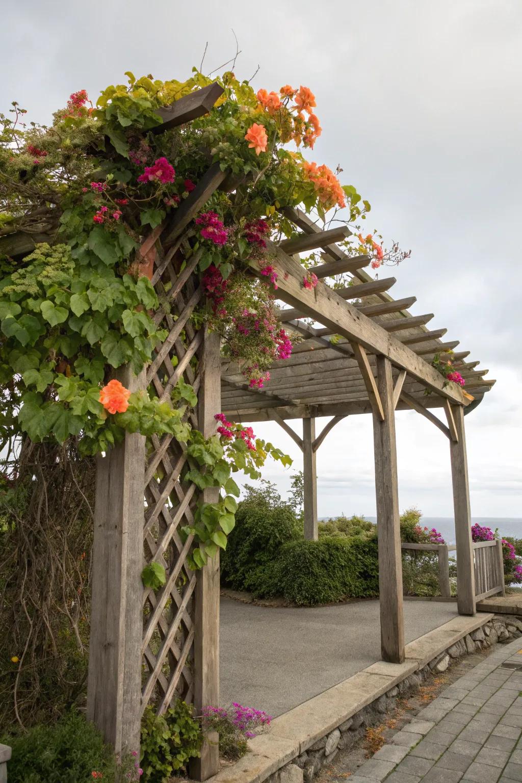 Vines on a trellis add charm and privacy to any carport.
