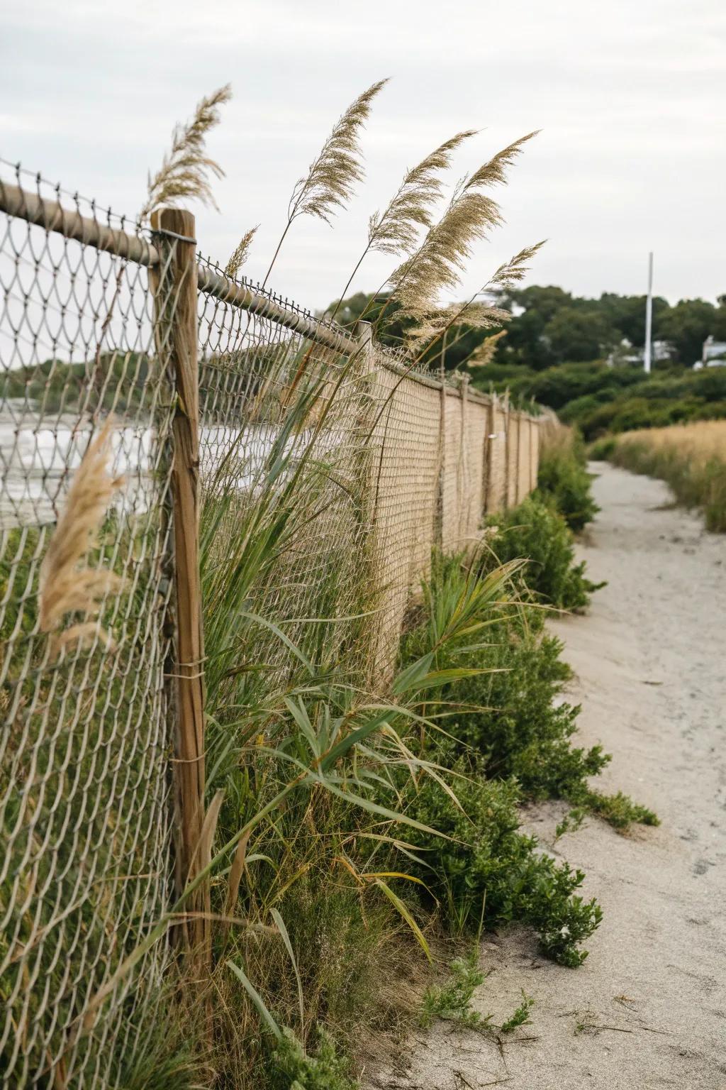 Bring a coastal charm to your garden with reed screens.