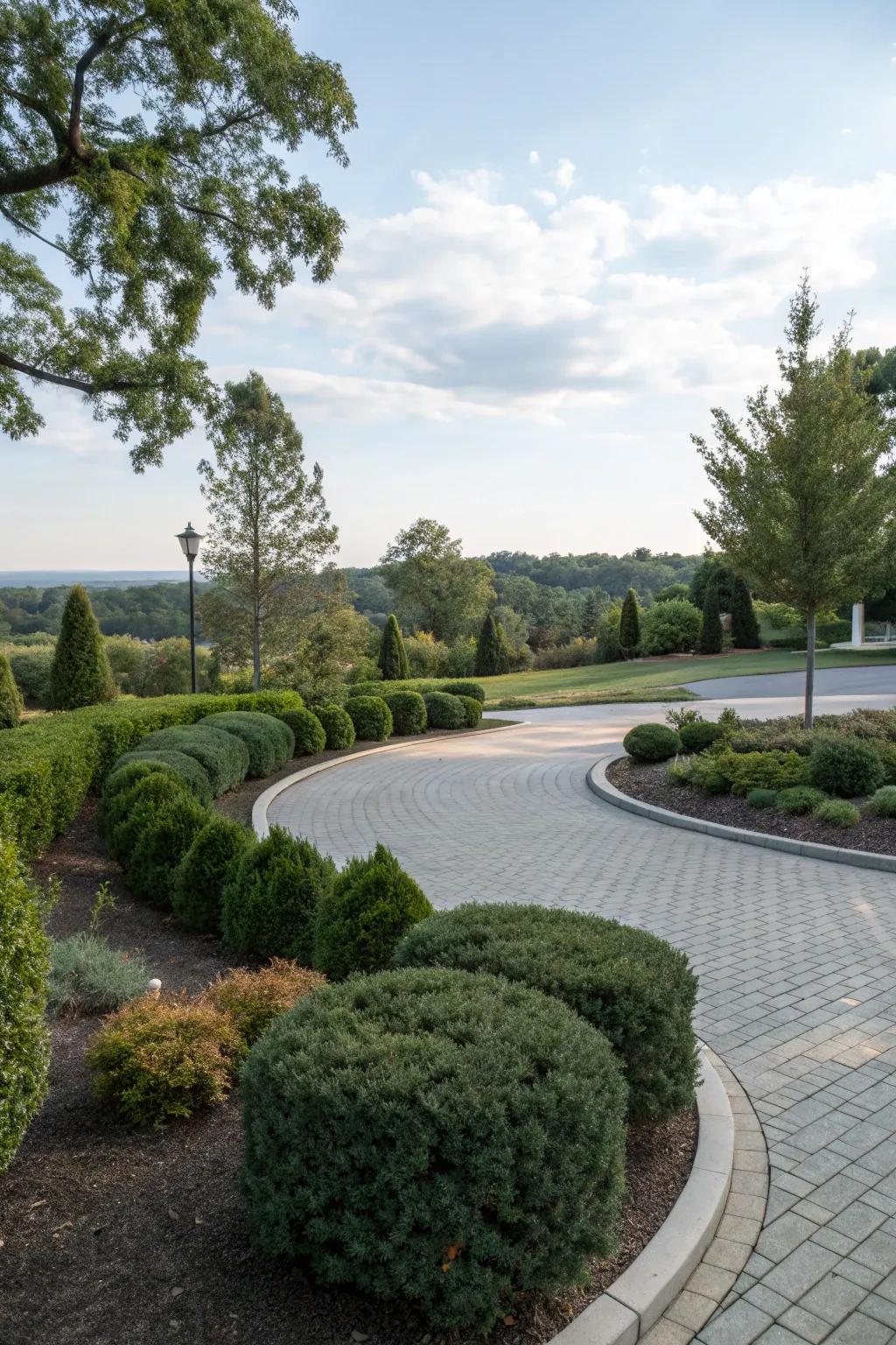 Evergreen shrubs provide a lush, low-maintenance border for your driveway.