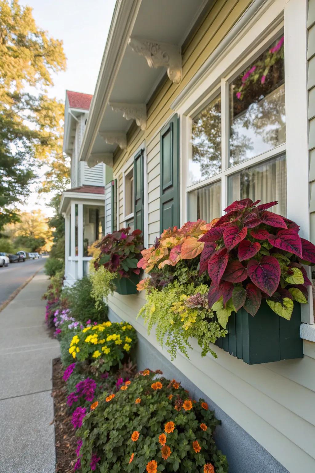 Window boxes with coleus add a charming touch.