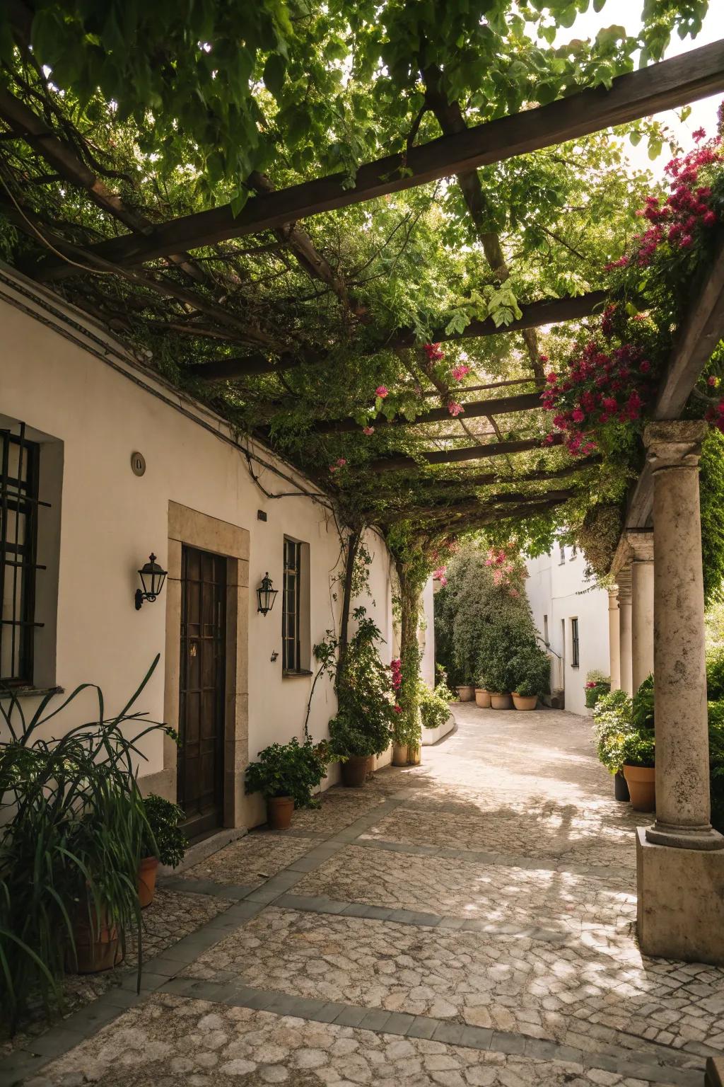 A charming pergola offering shade and a touch of elegance.