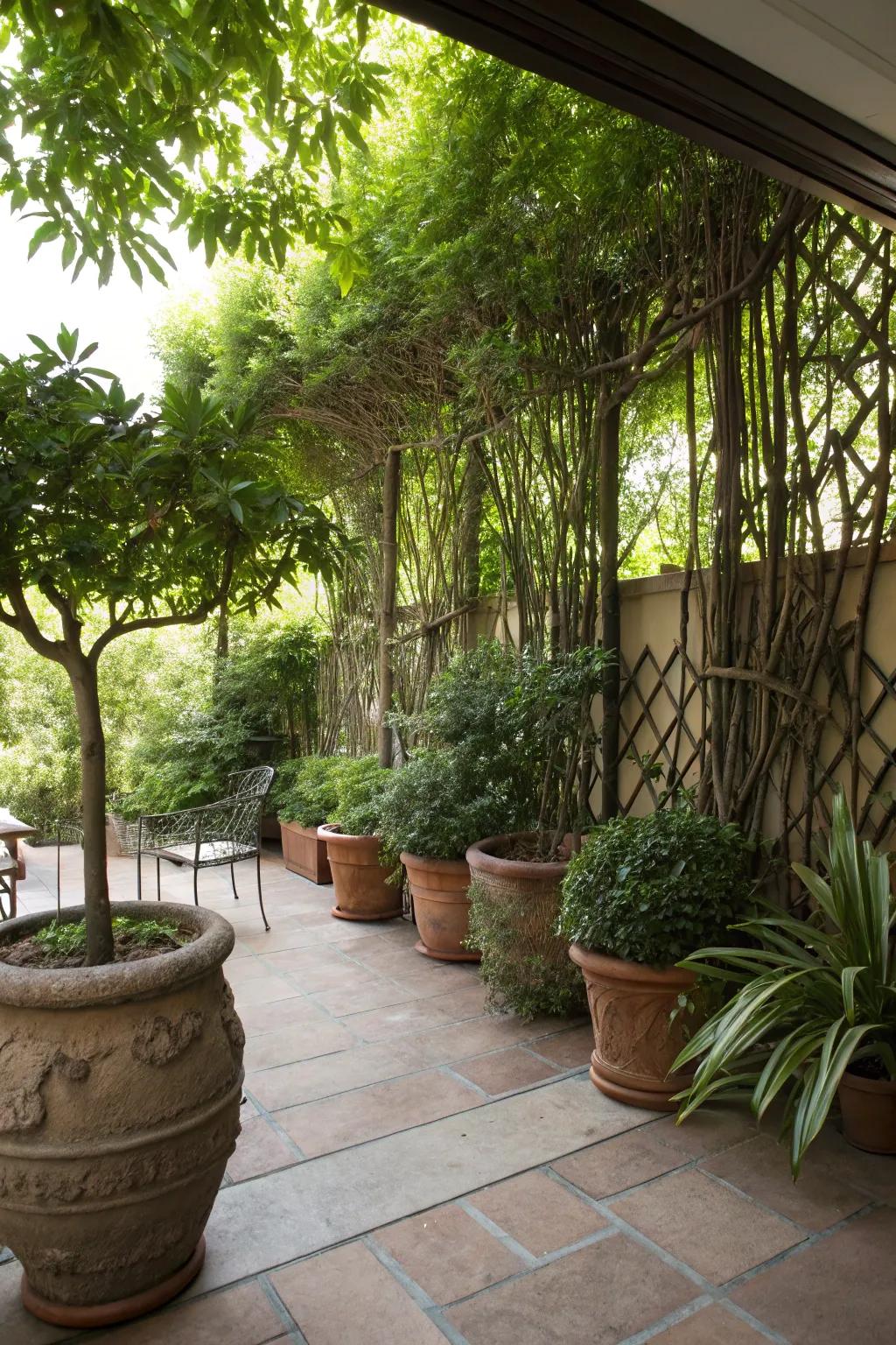 Tall potted plants create a natural privacy screen on the patio.