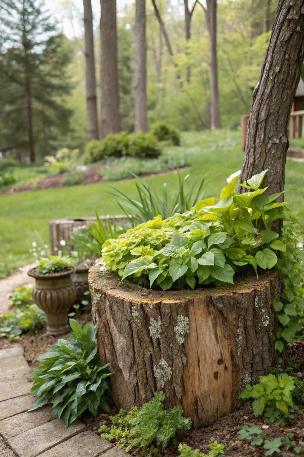 Embrace nature with a rustic log plant stand.