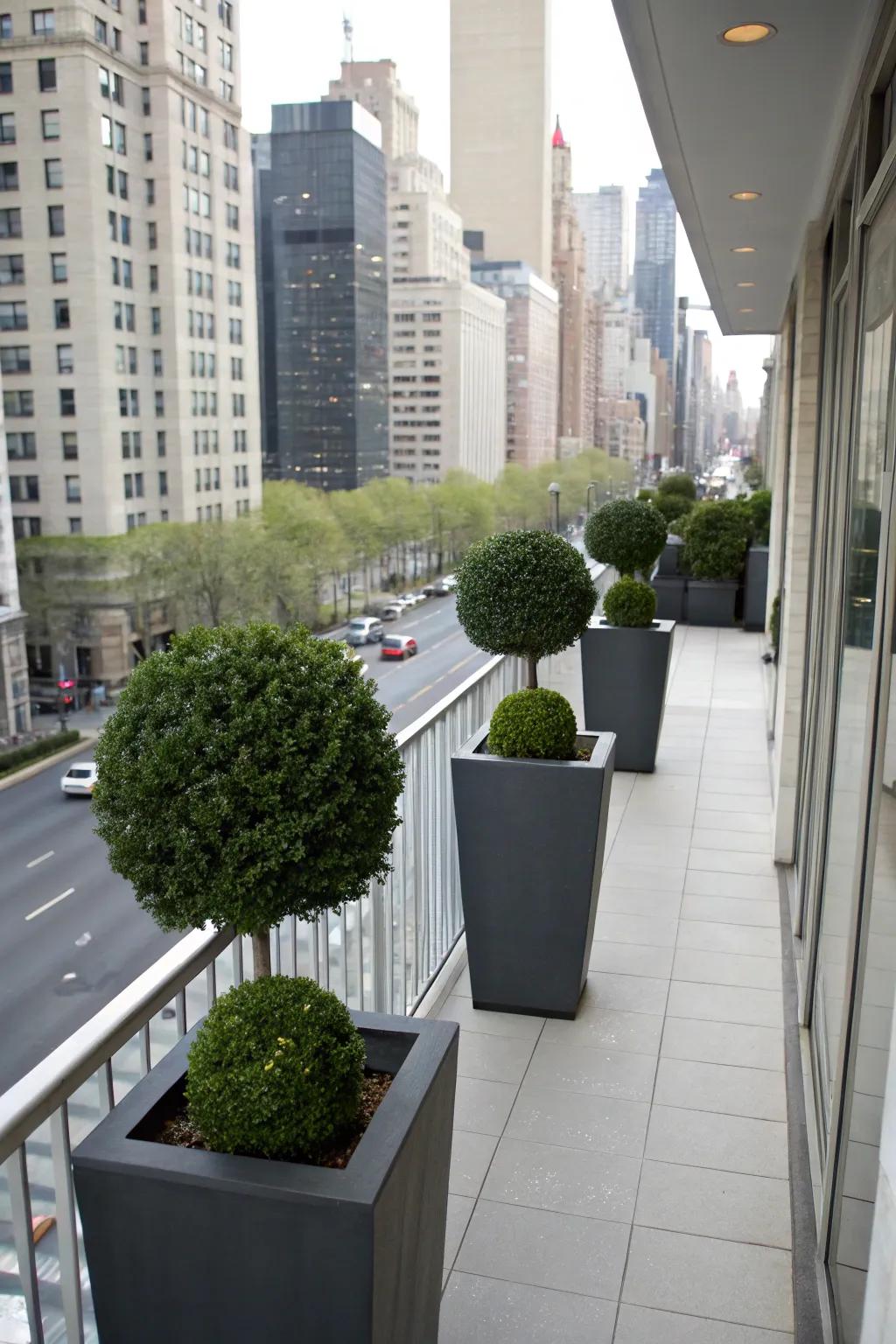 Urban topiaries soften architectural lines.