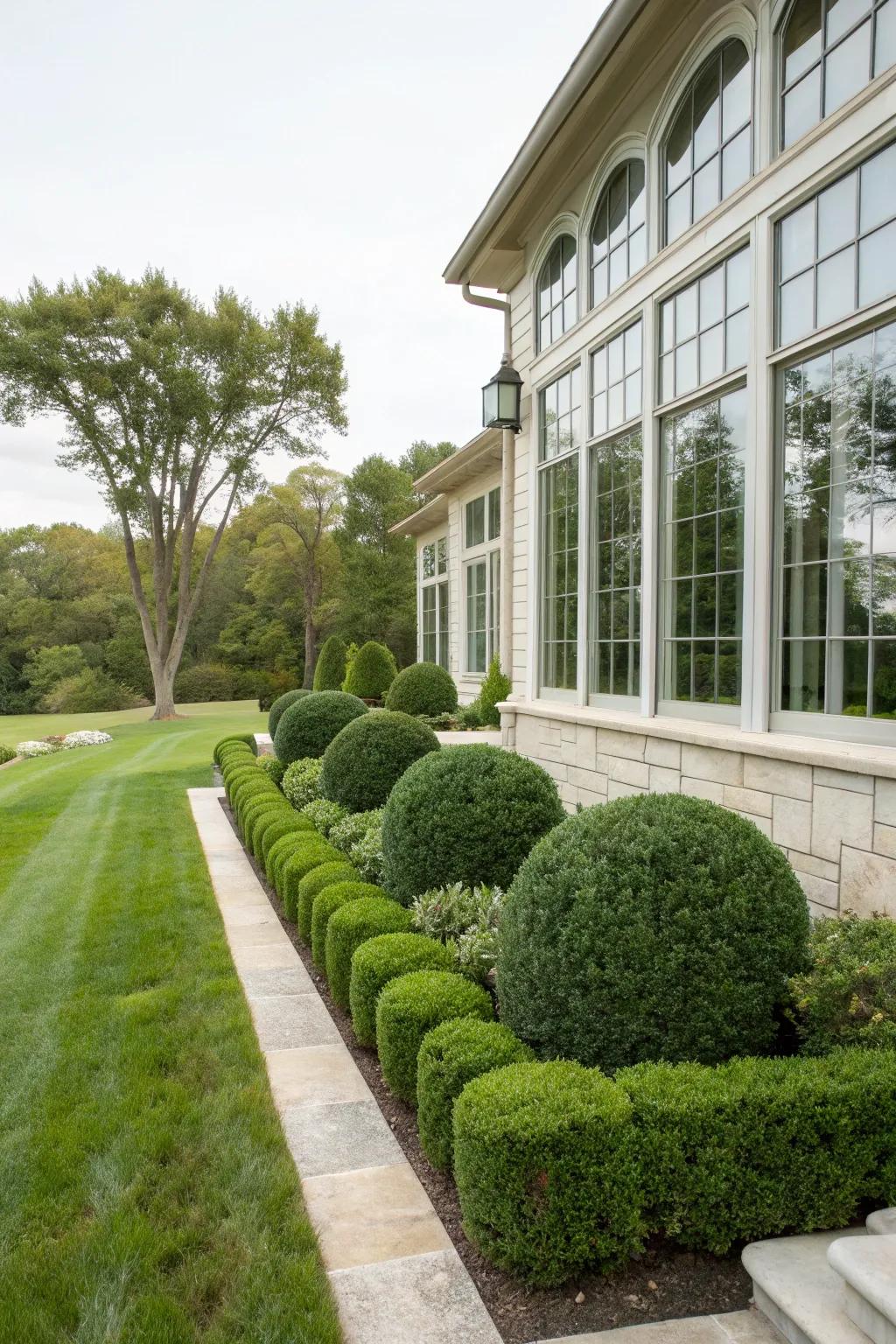 Enhance your home's foundation with charming boxwoods.