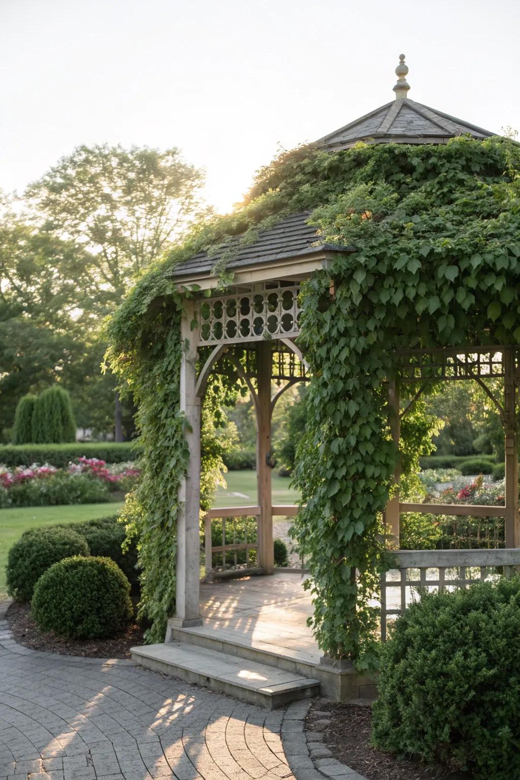 Ivy transforms this gazebo into a mystical, green sanctuary.