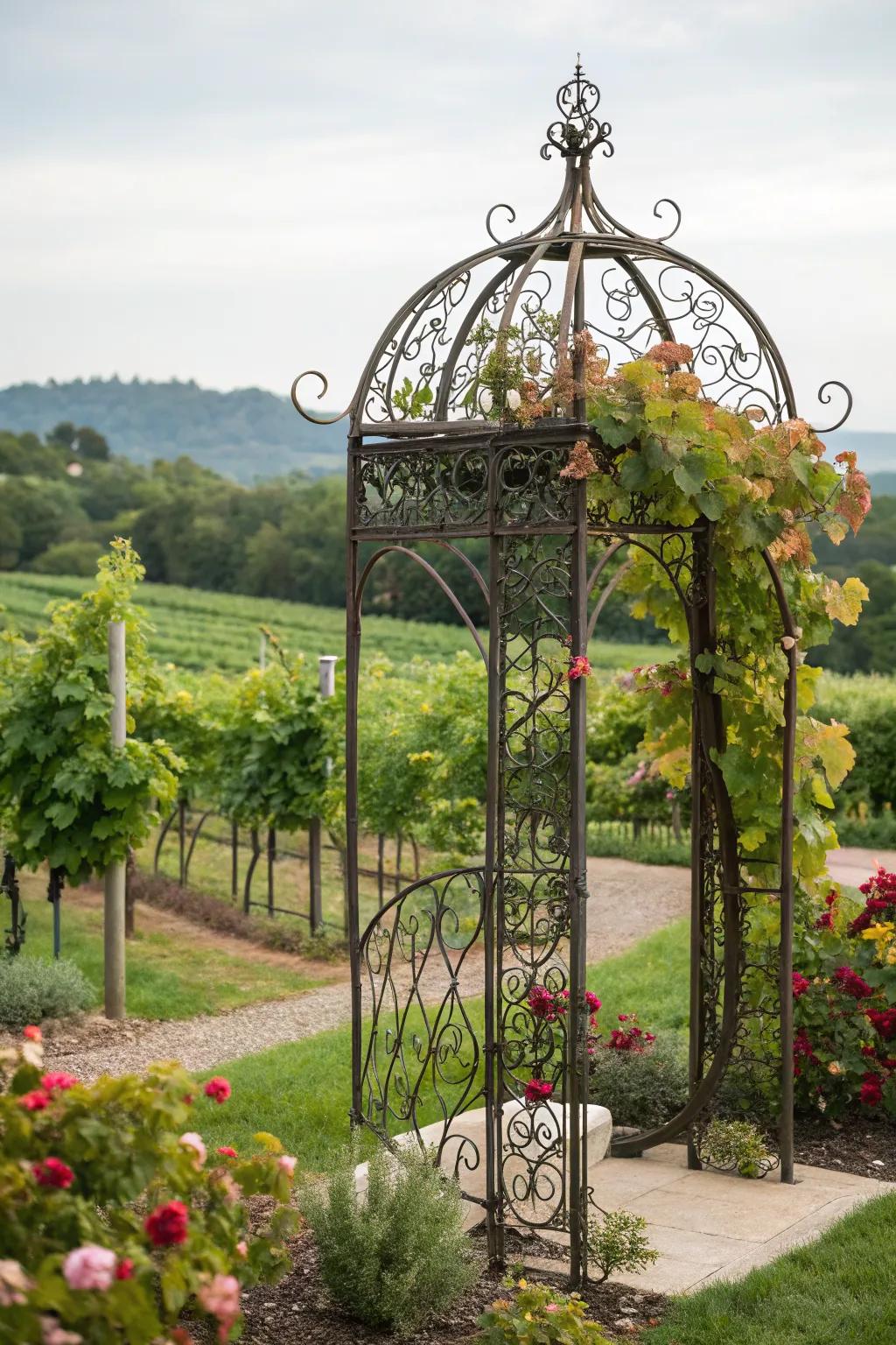 A metalwork trellis combining art and functionality for grape vines.