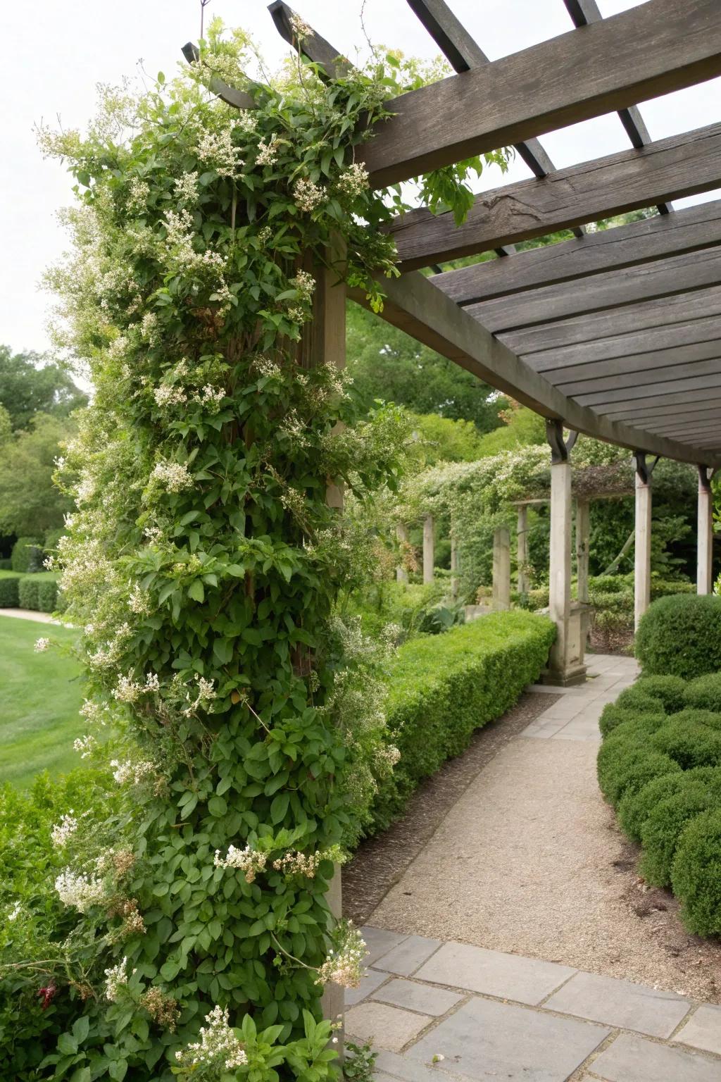 A pergola enhanced by a vertical garden with honeysuckle, adding depth and greenery.