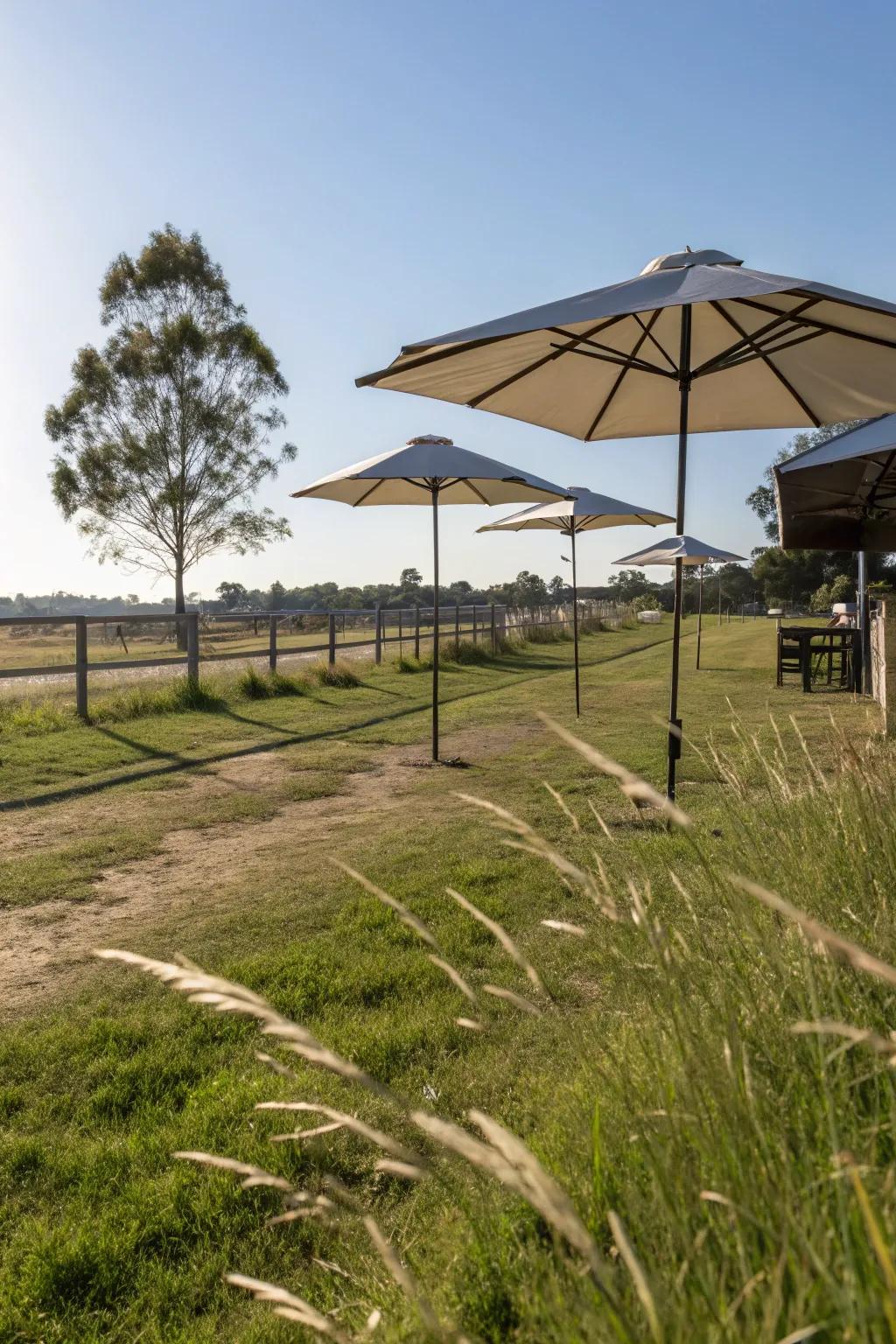 Versatile portable umbrellas offering convenient shade.