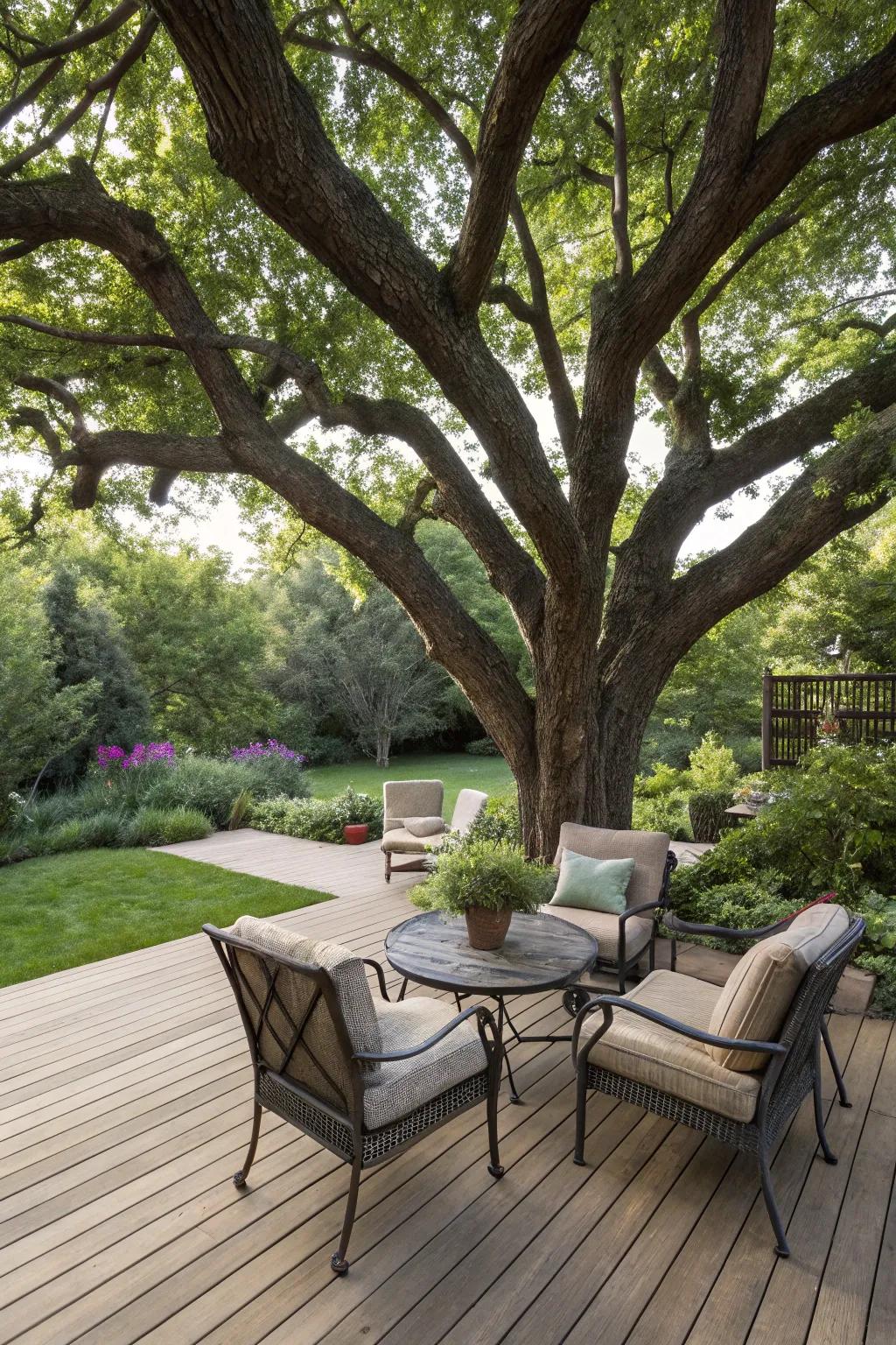 An outdoor patio designed to include a majestic tree.