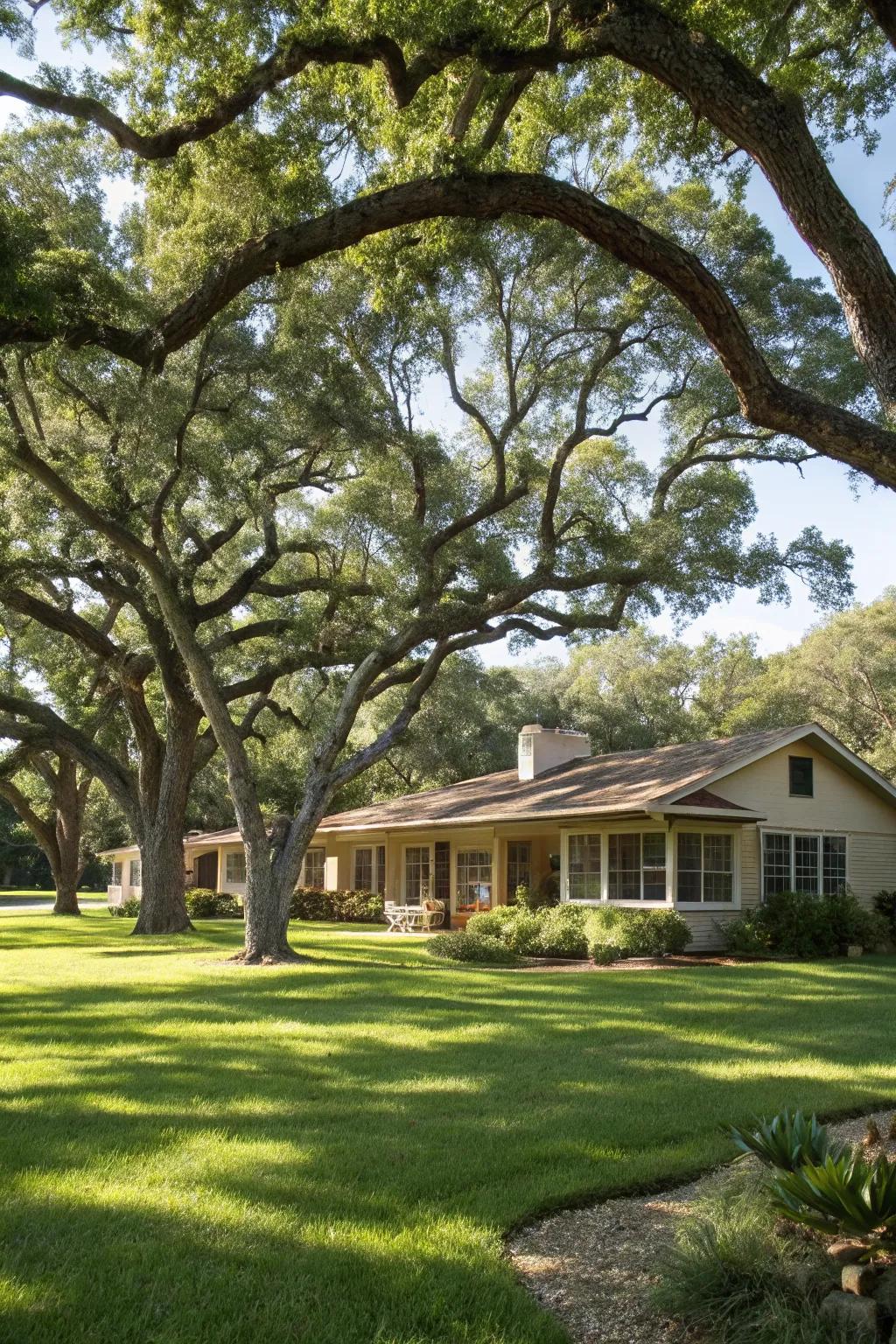 Trees offer shade and enhance the home's structure