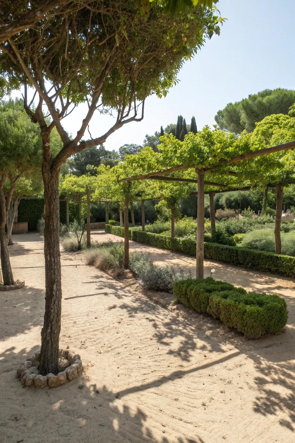 Trees and shrubs offer shade and structure.