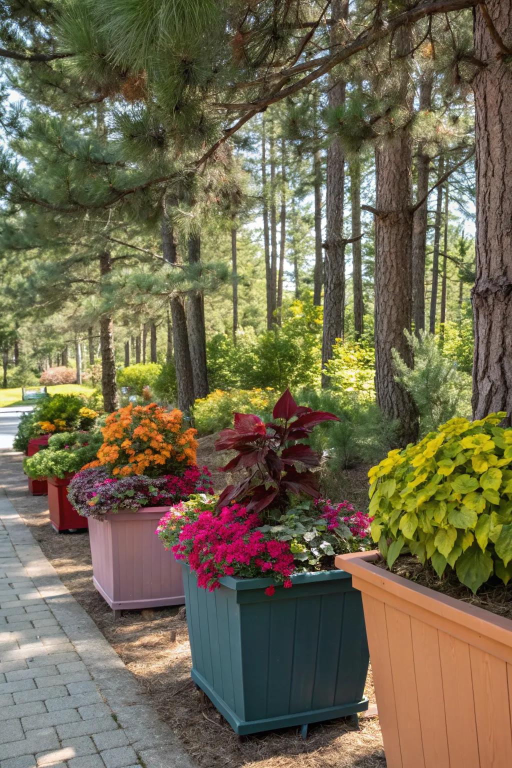 Vibrant container gardens bringing life to shaded areas.