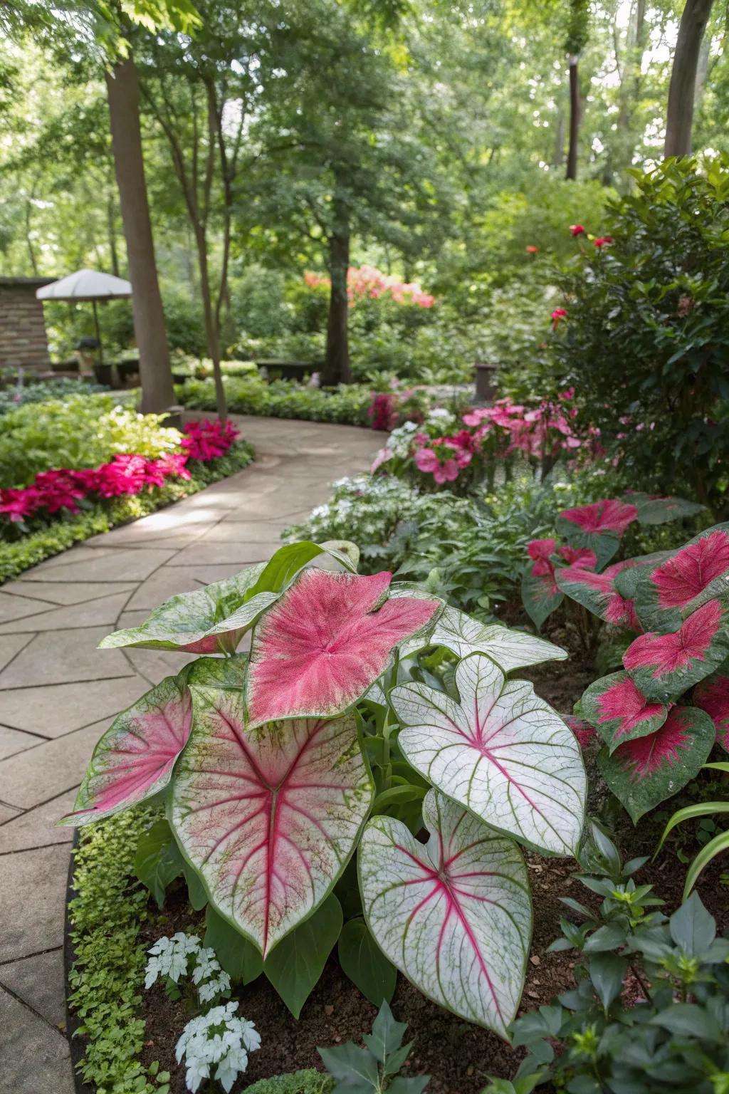 Make a statement with caladium focal points.