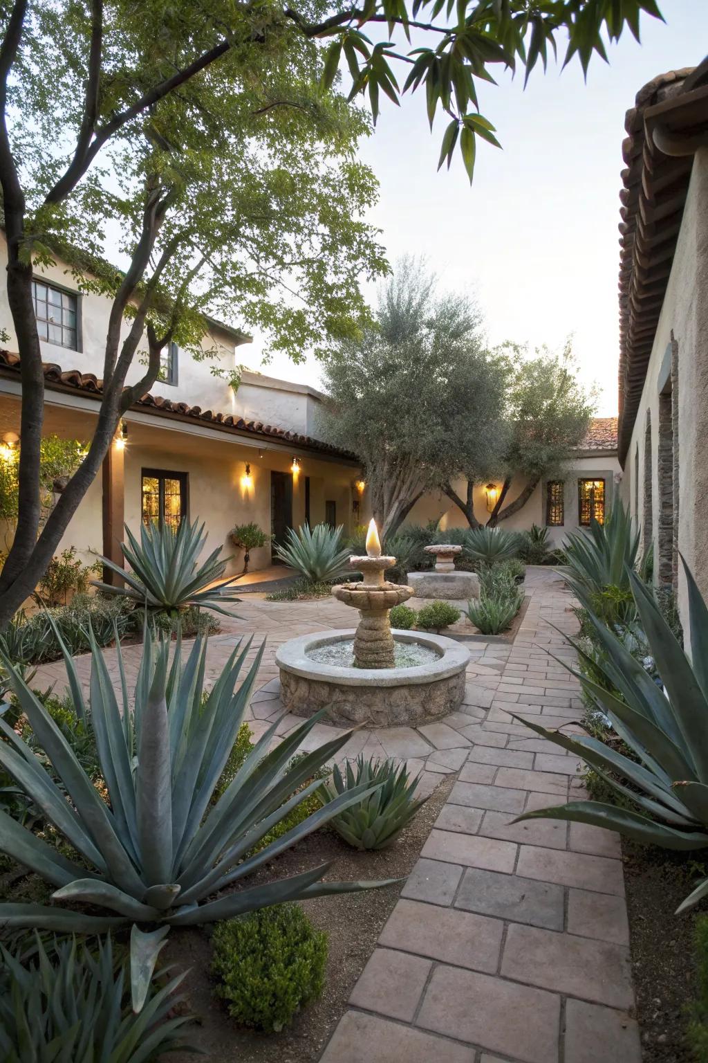 A tranquil courtyard centered around agave plants.