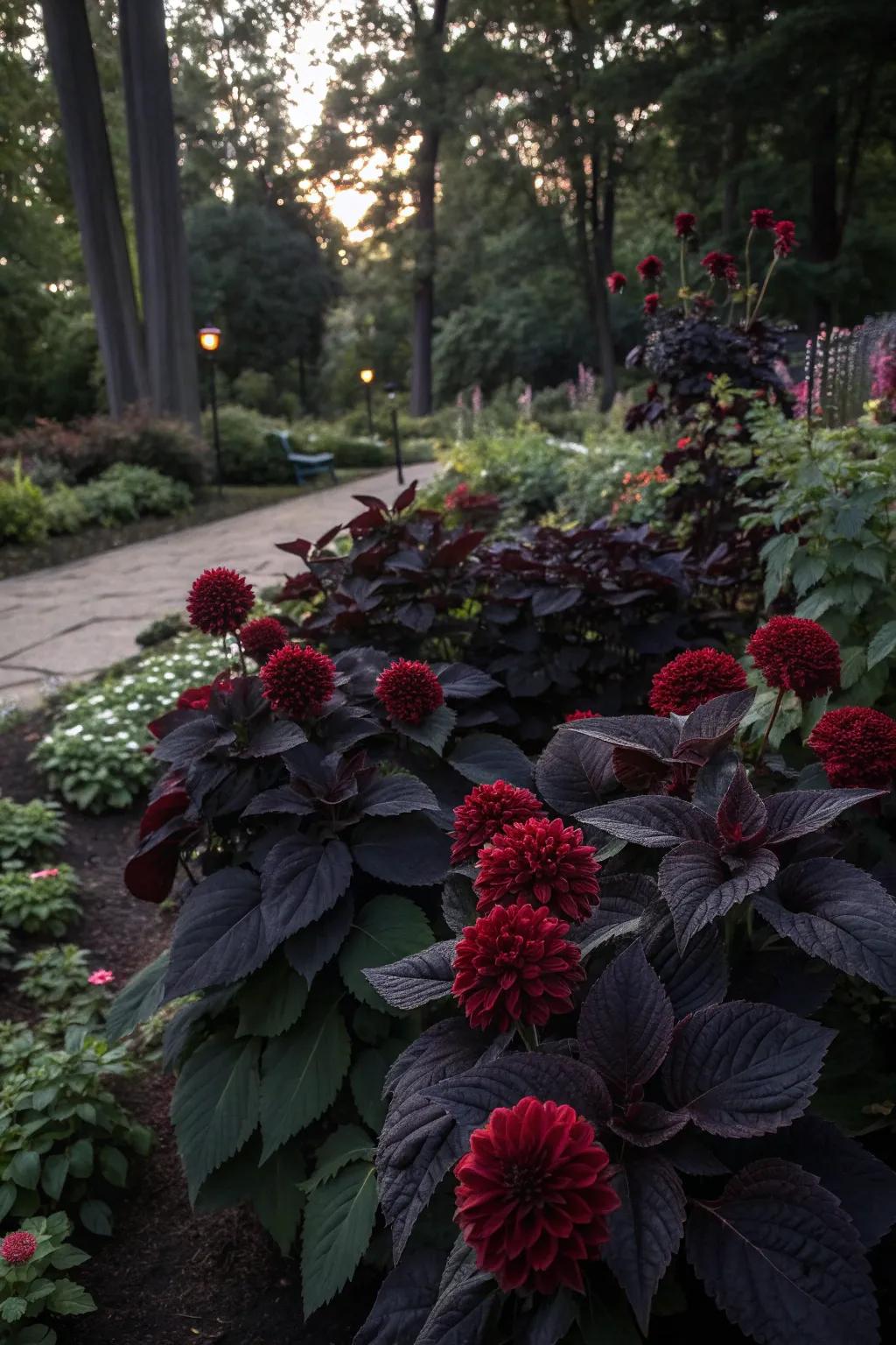 A dramatic garden with a bold black and burgundy color scheme.