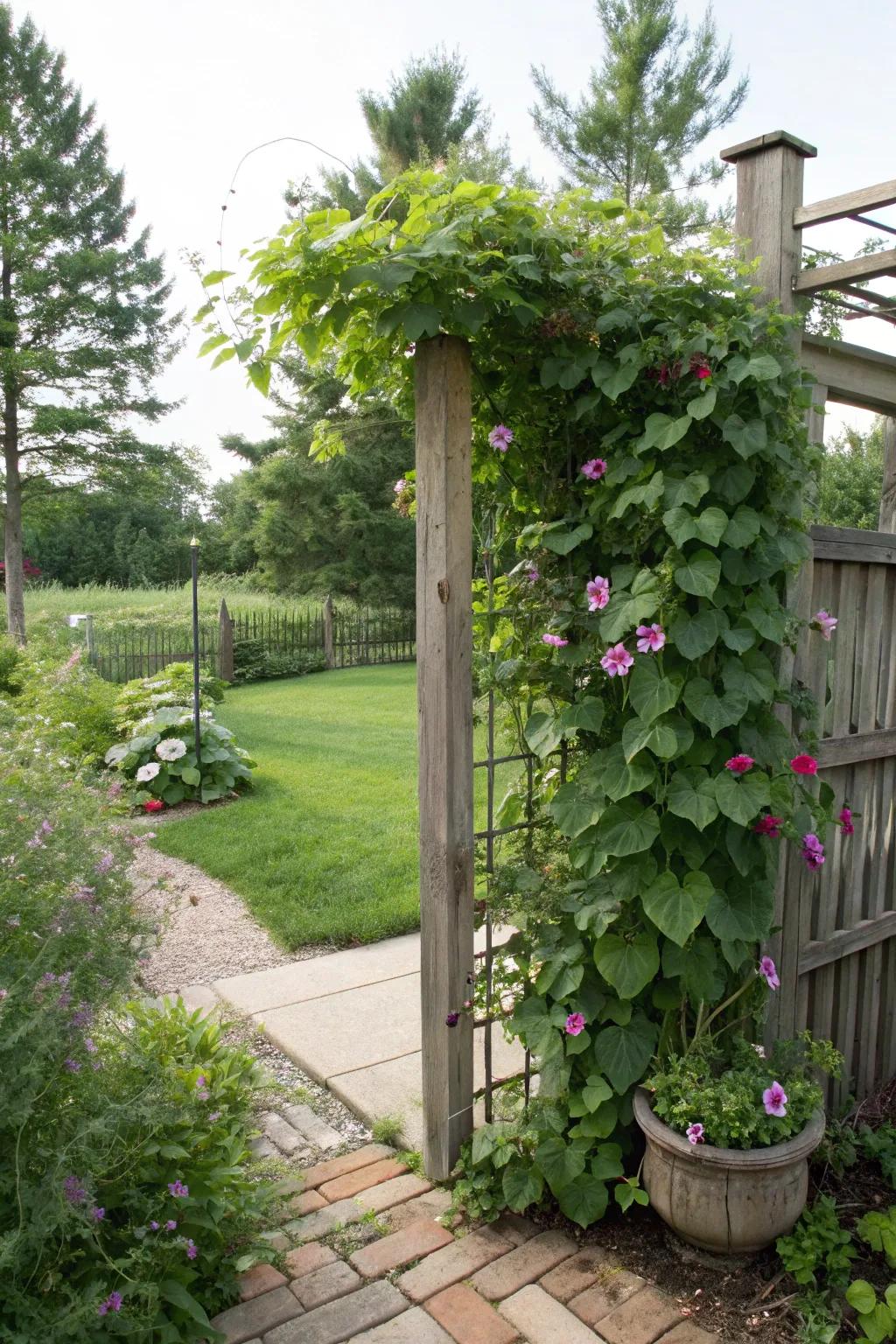 Find solitude with stylish privacy screens.